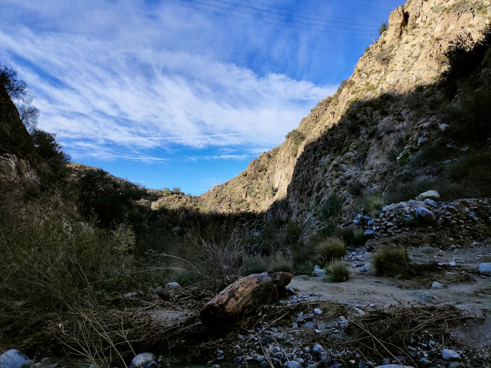 Una vista de un cañón con rocas y hierba