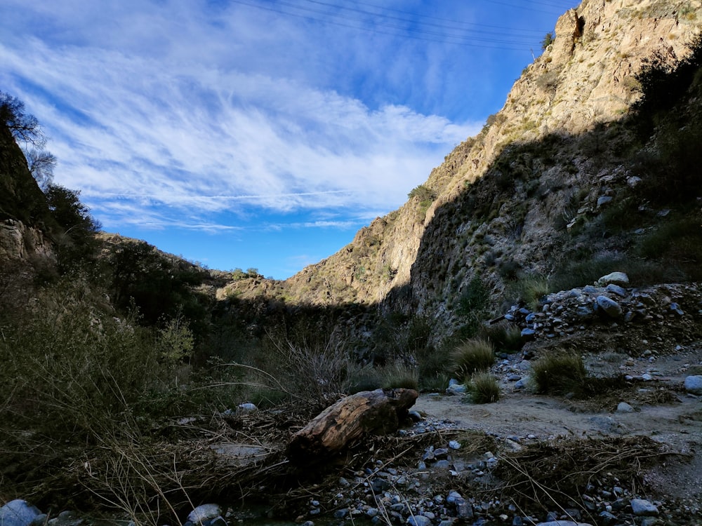 a view of a canyon with rocks and grass