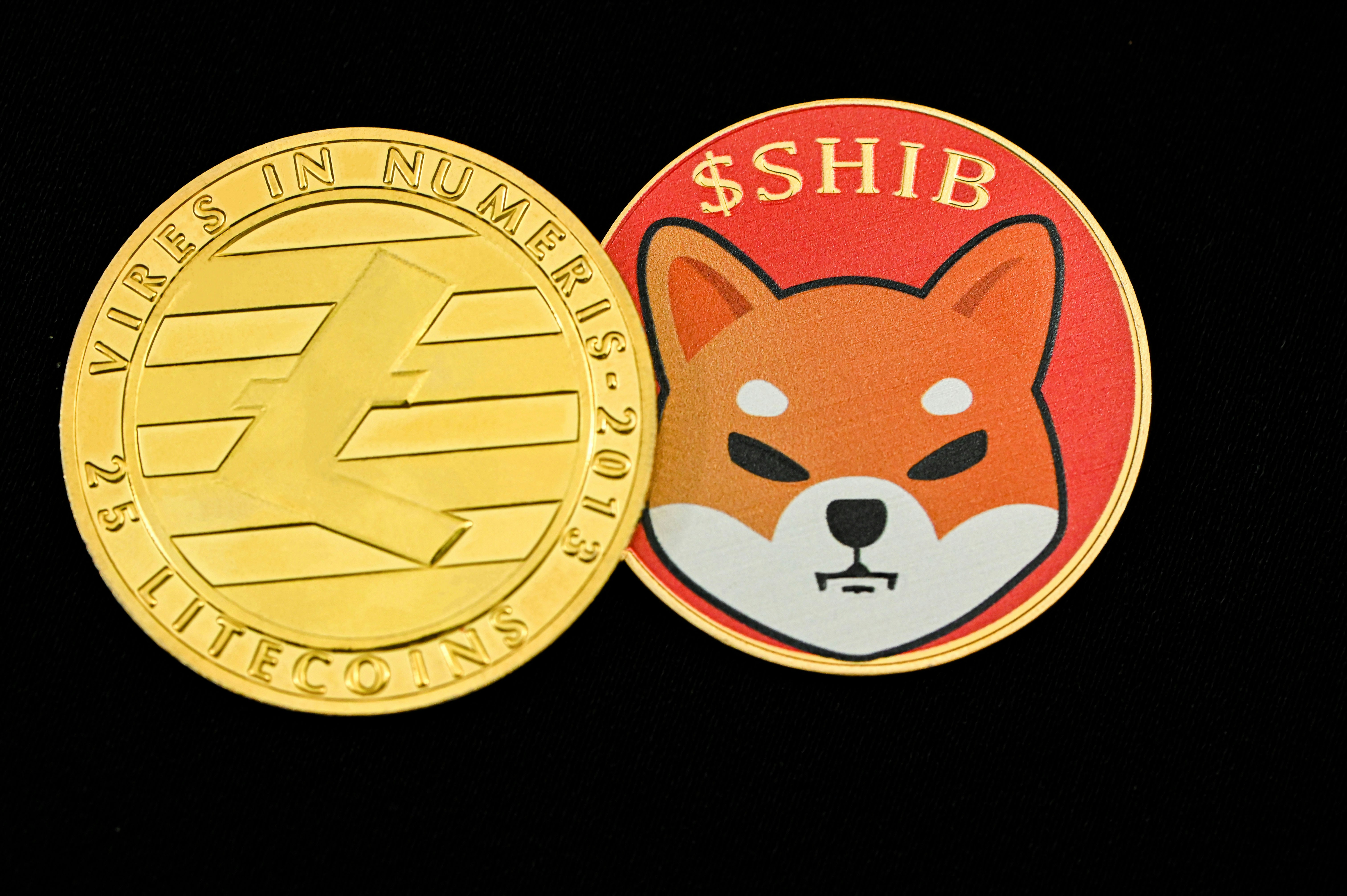Litecoin and SHIB coin next to each other