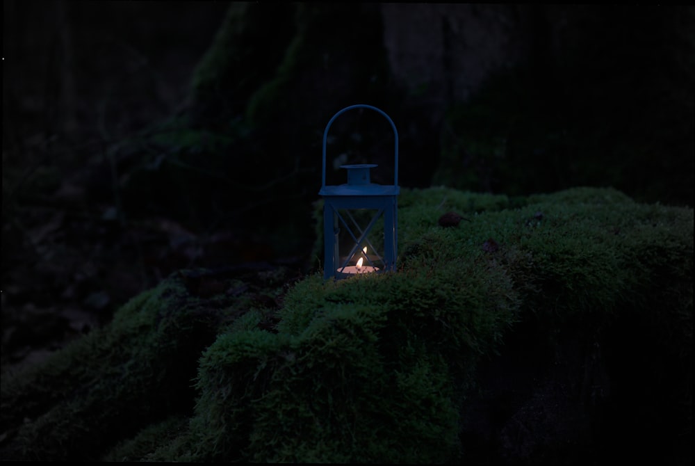 a blue lantern sitting on top of a moss covered ground