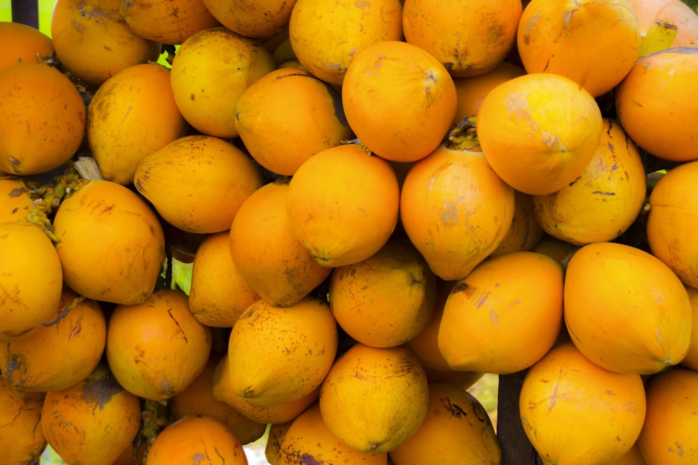 a bunch of oranges hanging from a tree