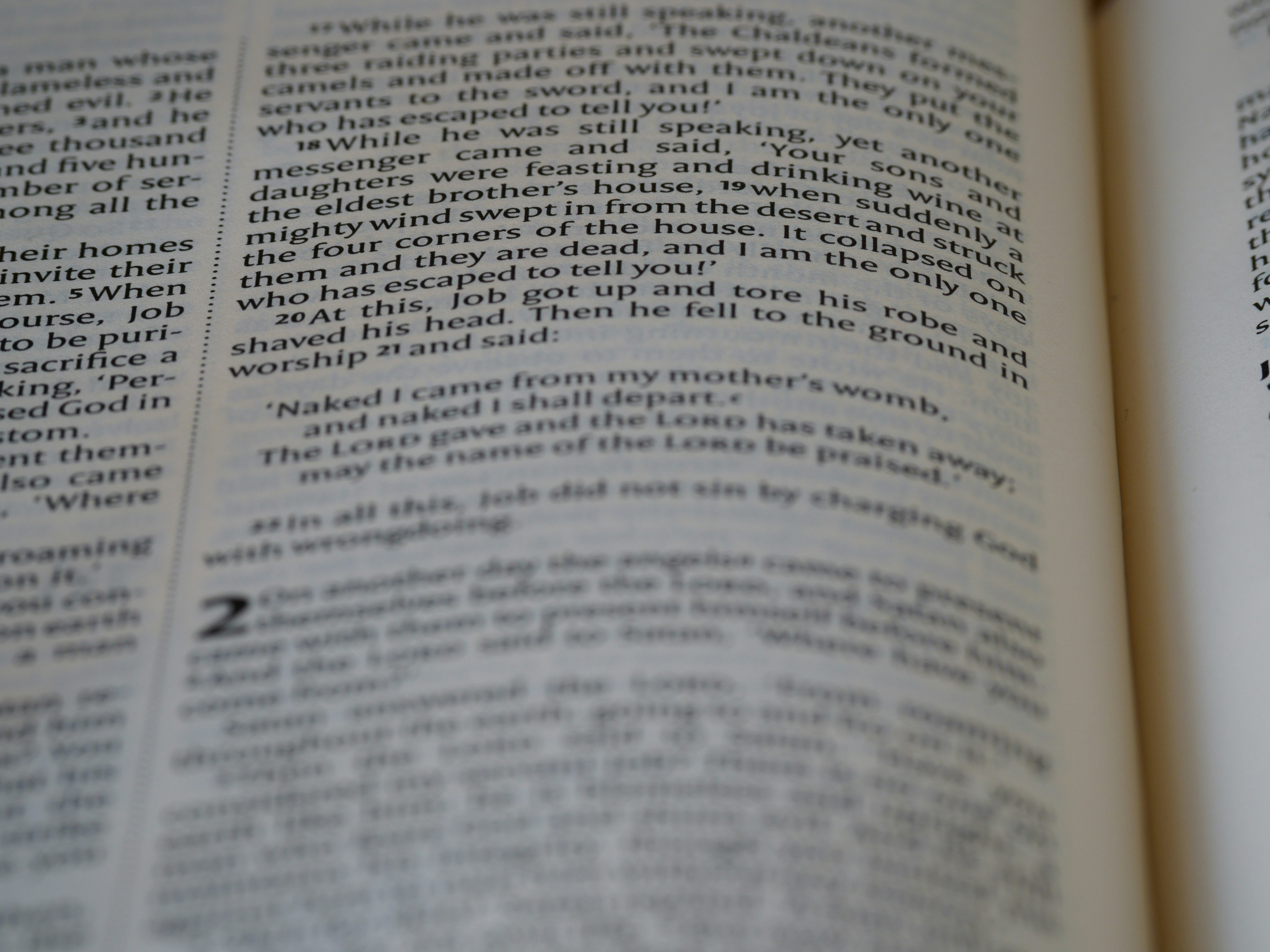 Photo by brett_jordan