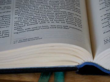 a close up of a book