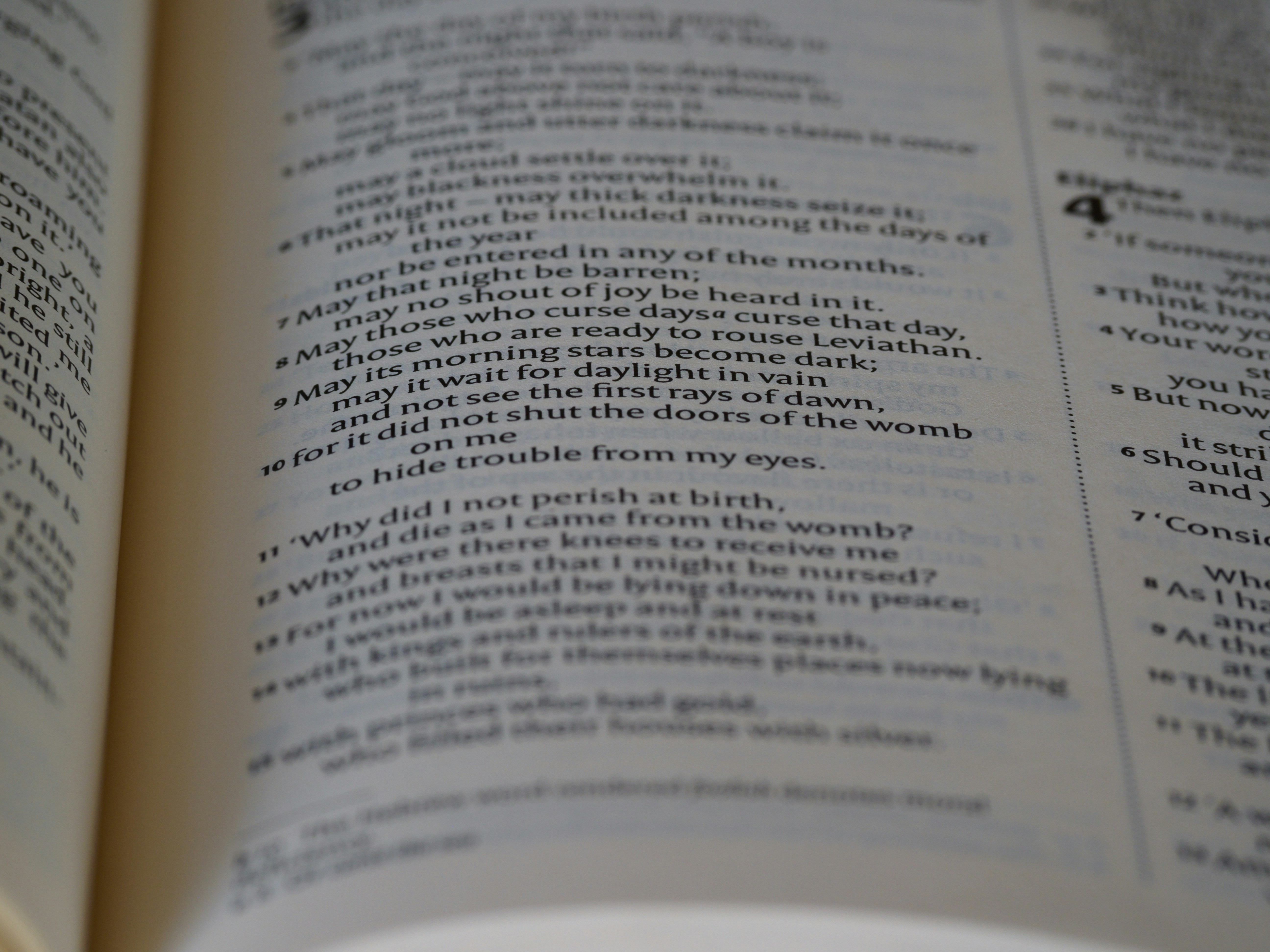 Photo by brett_jordan