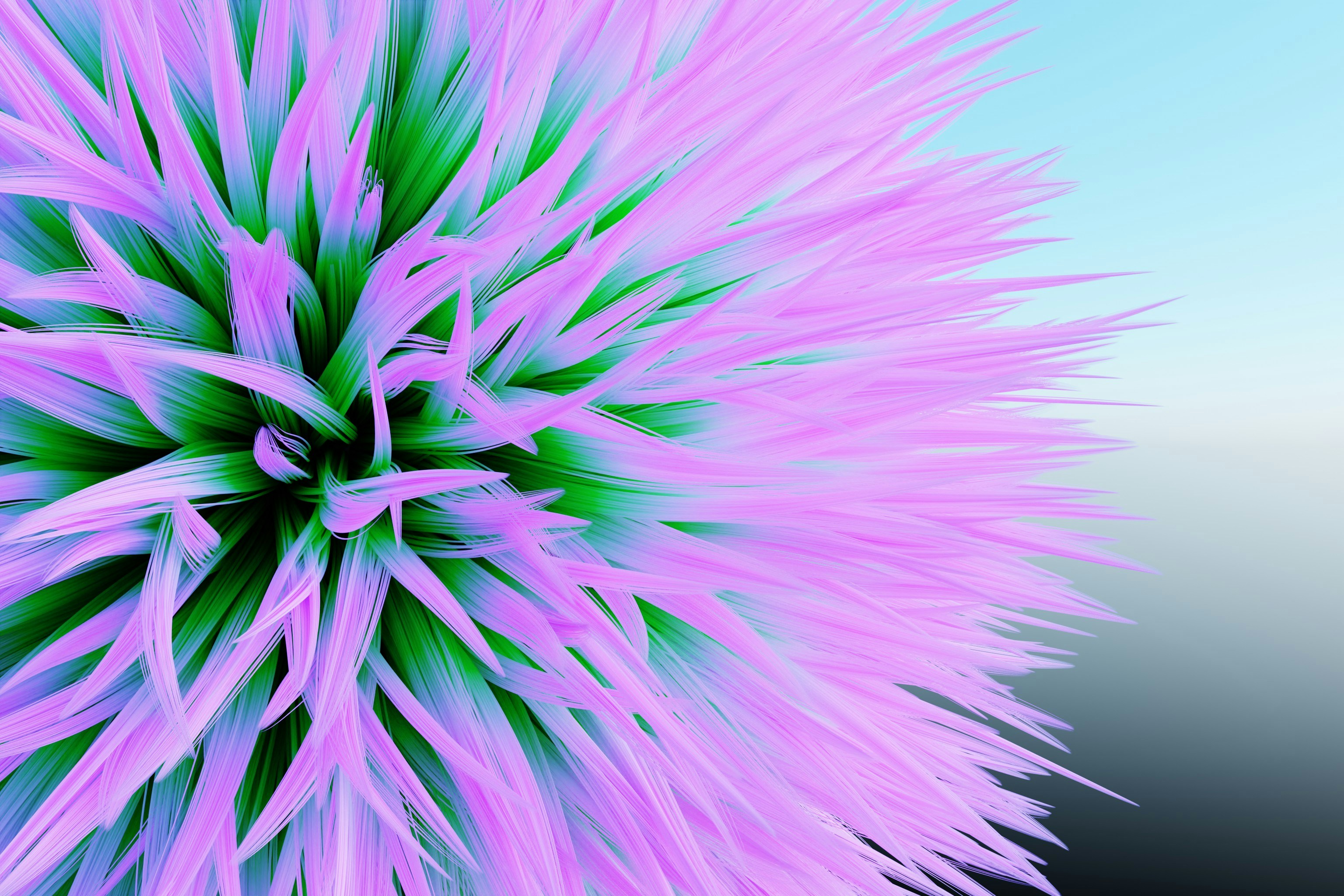 Un primer plano de una flor púrpura con un fondo de cielo