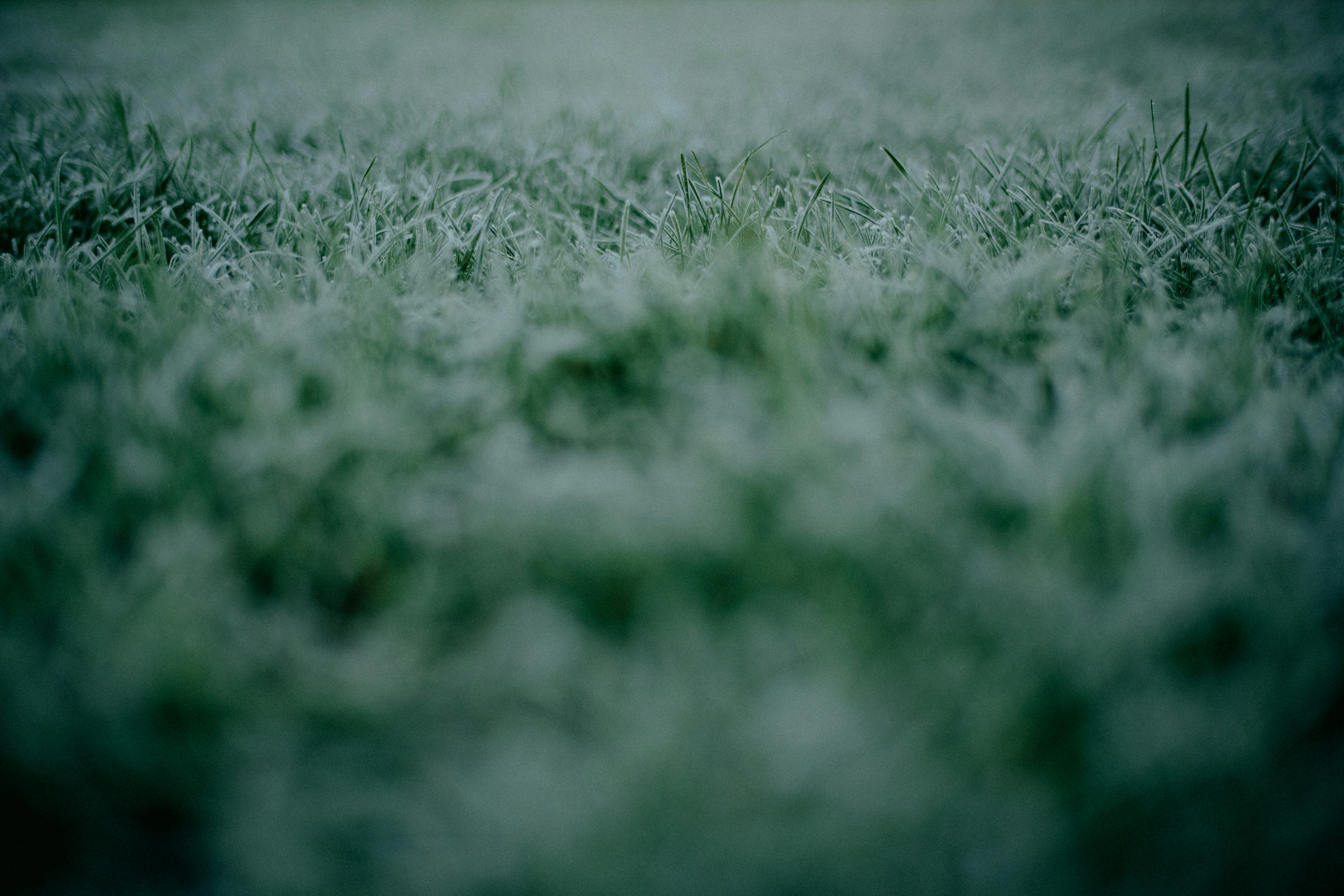 Photo by anniespratt