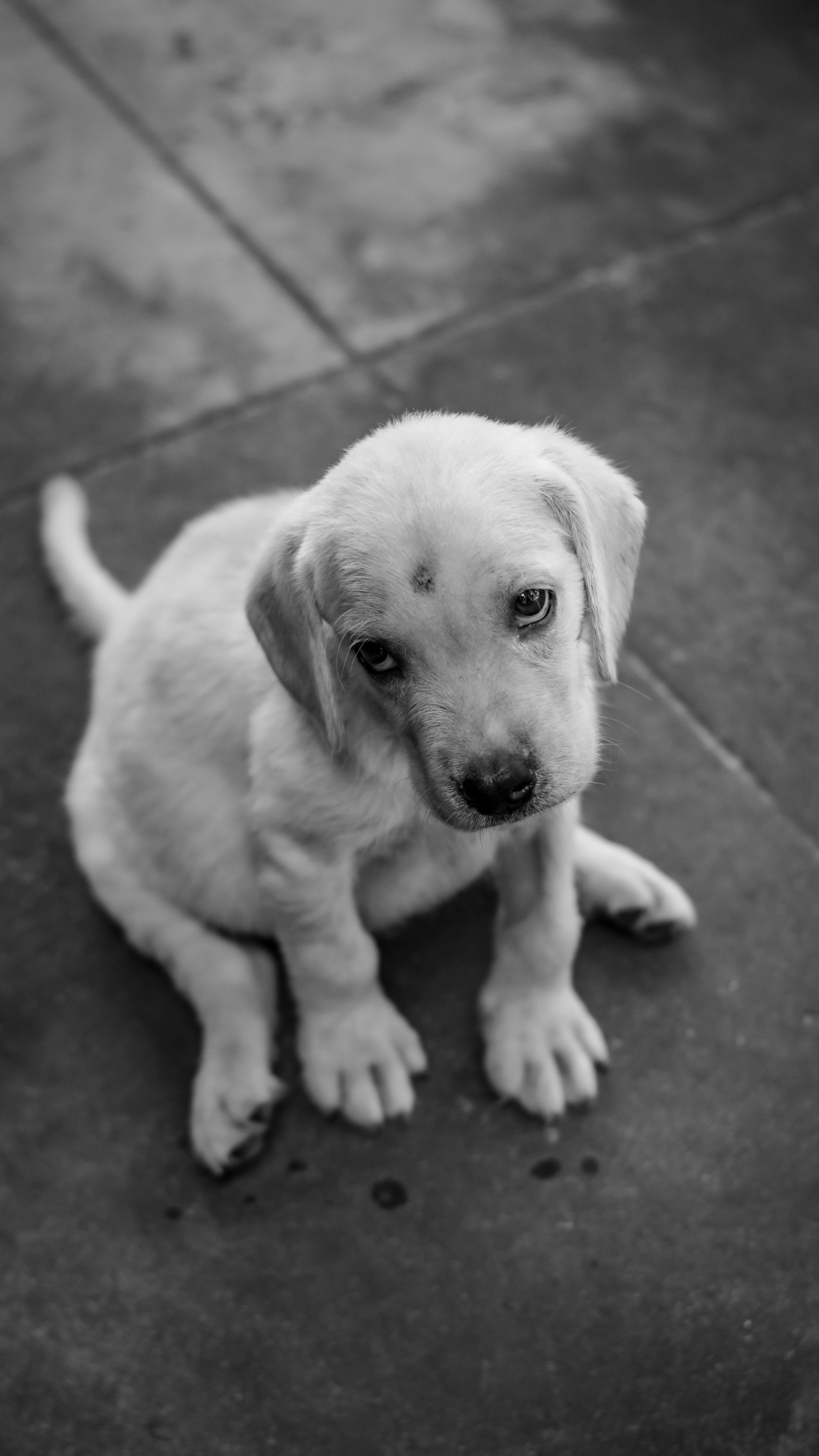 Photo by faizalsulthan