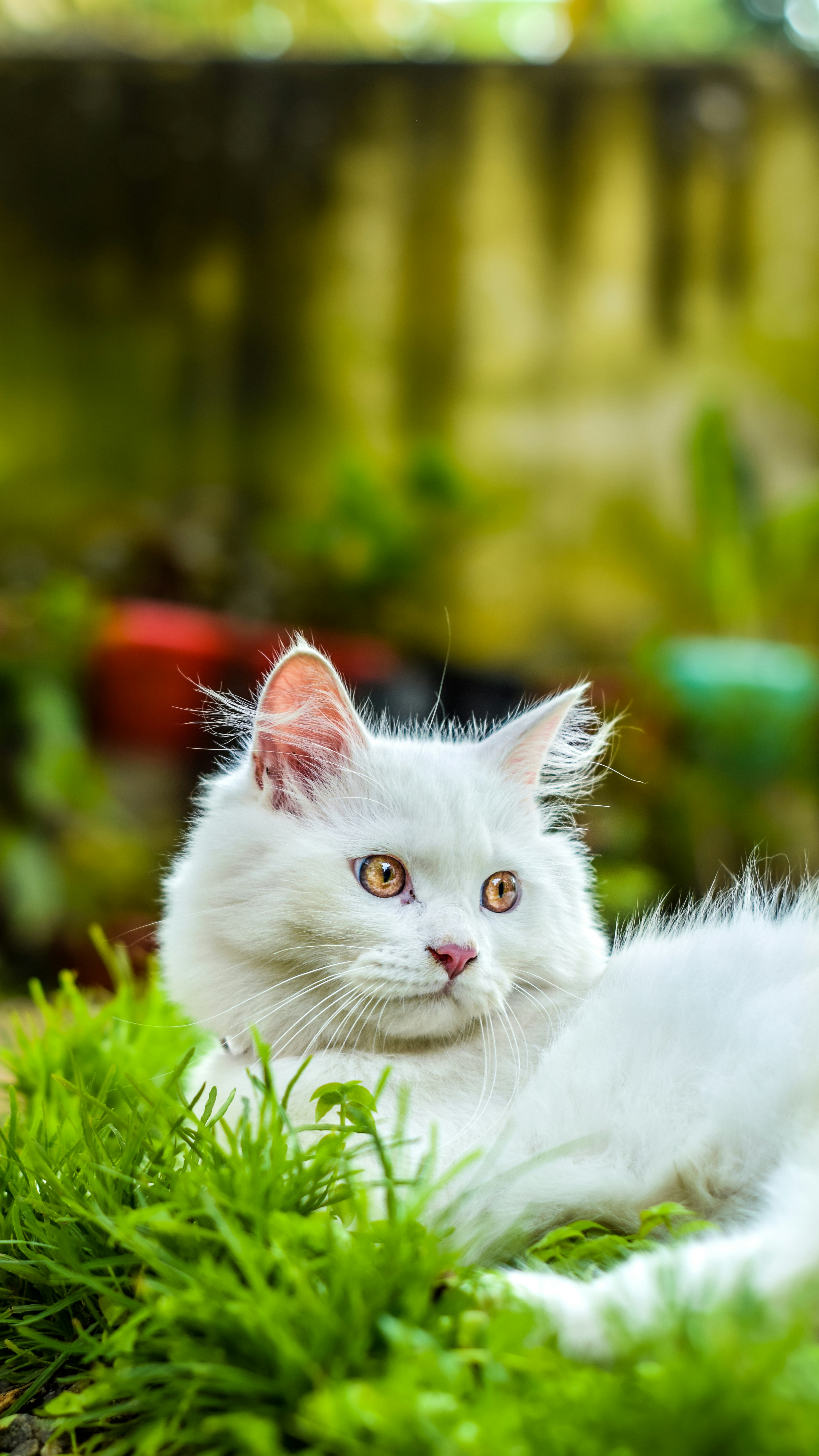 Photo by faizalsulthan