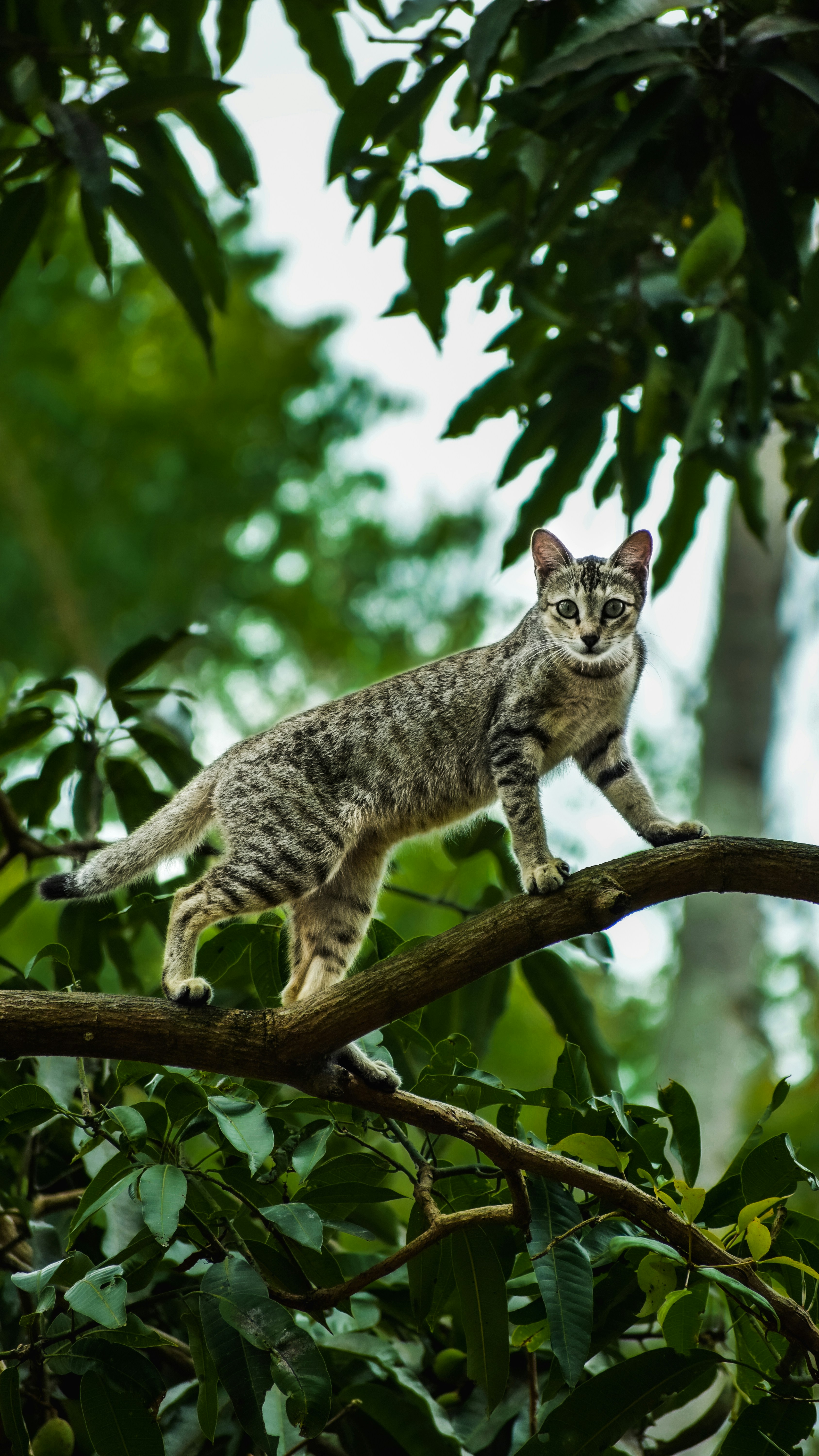 Photo by faizalsulthan