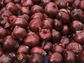 A close-up view of numerous red onions piled together. The onions have a shiny surface with some dry, flaky skin. Some onions have their roots still attached.