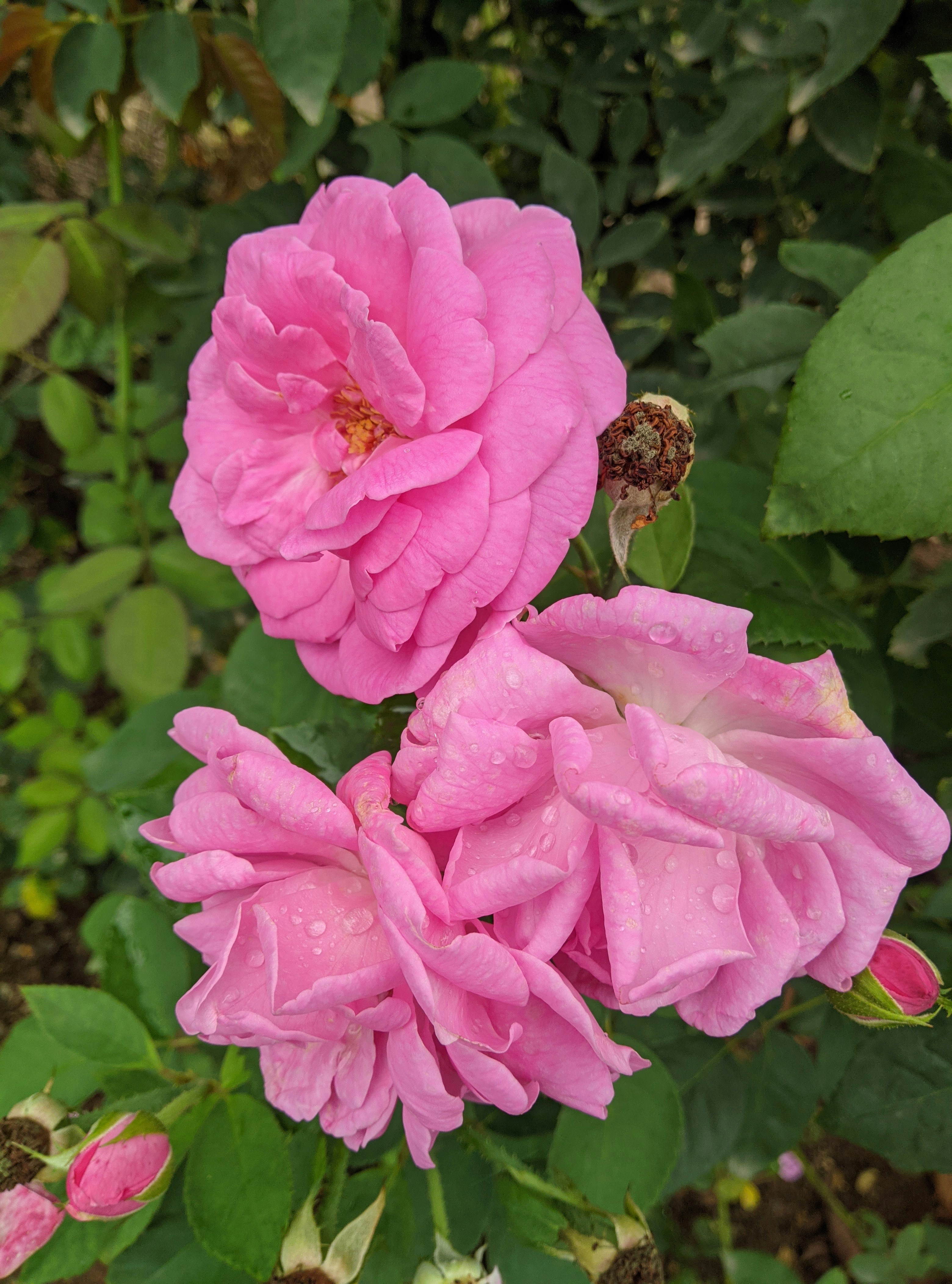 Photo by ihareshvaghela