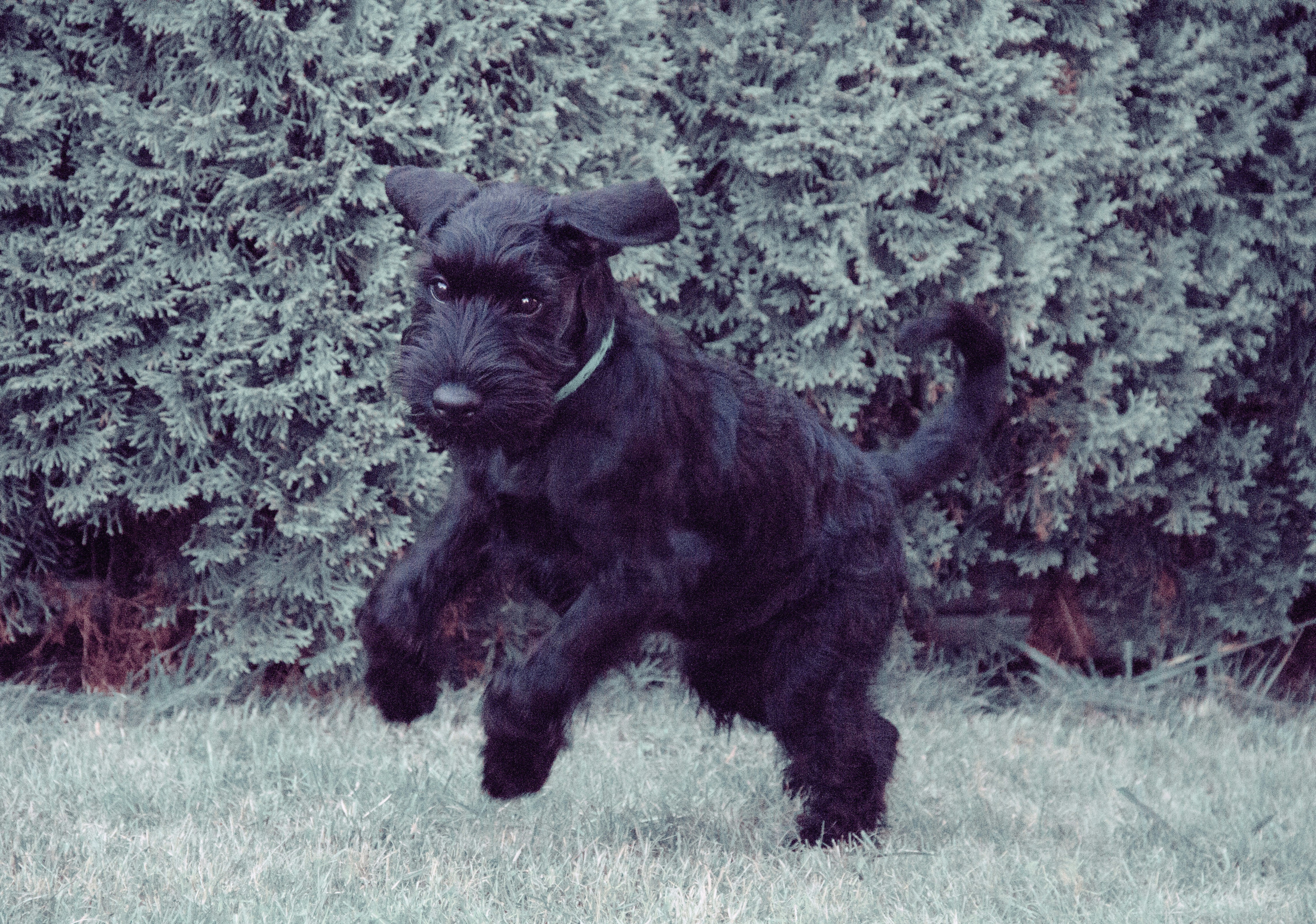 Conclusión: un modelo de gestión cercano que humaniza la experiencia familiar