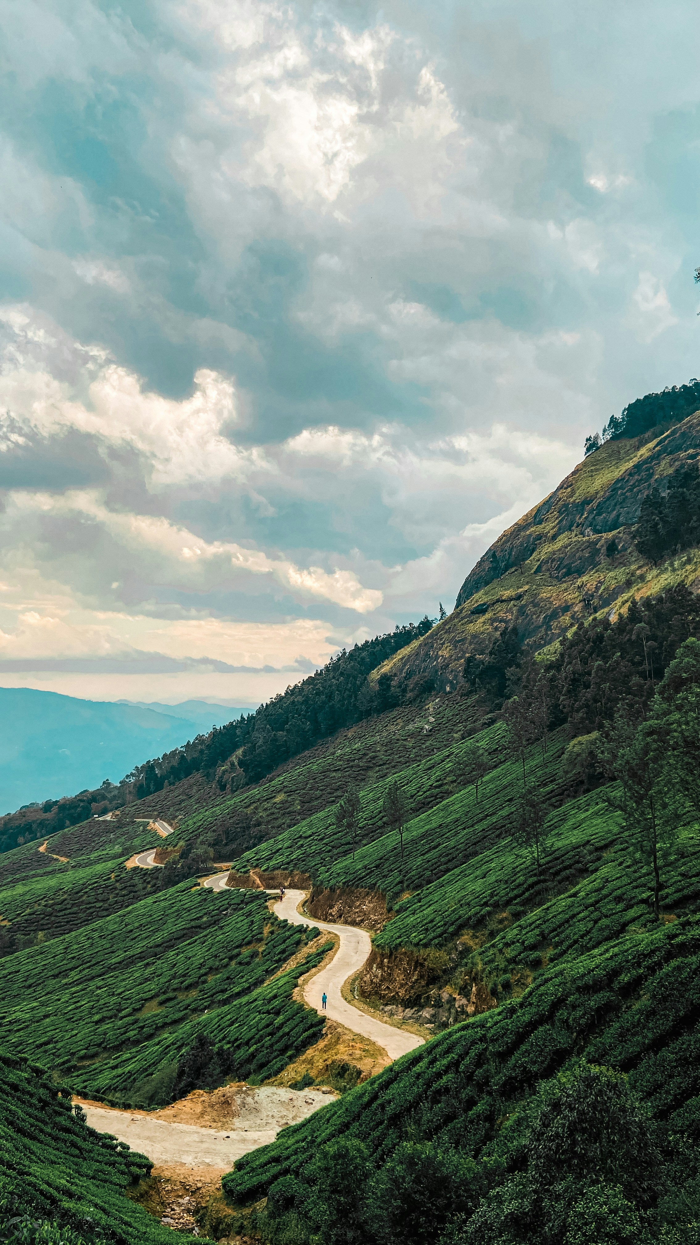 Photo by prince_mathews