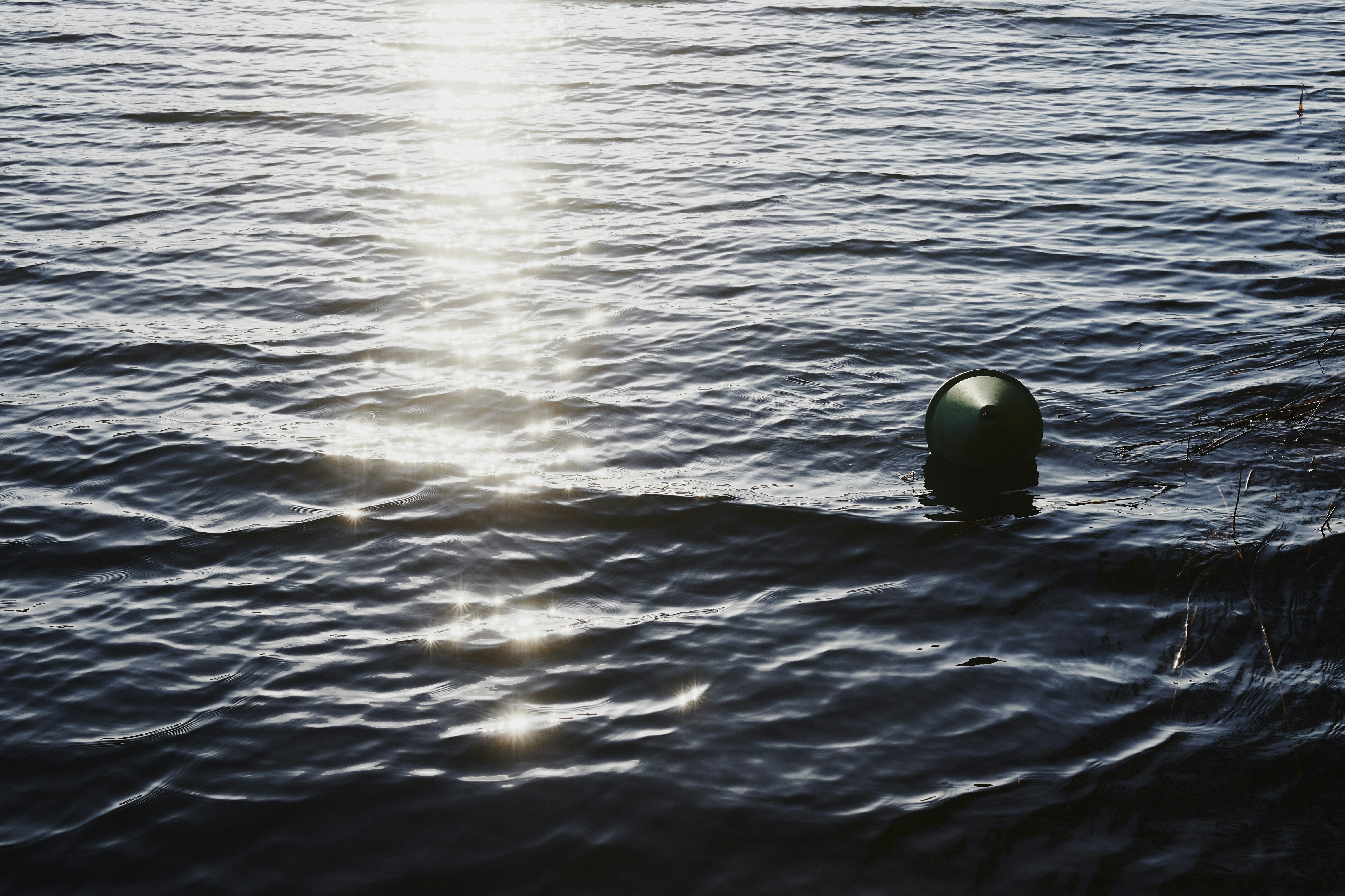 Photo by victor_vector