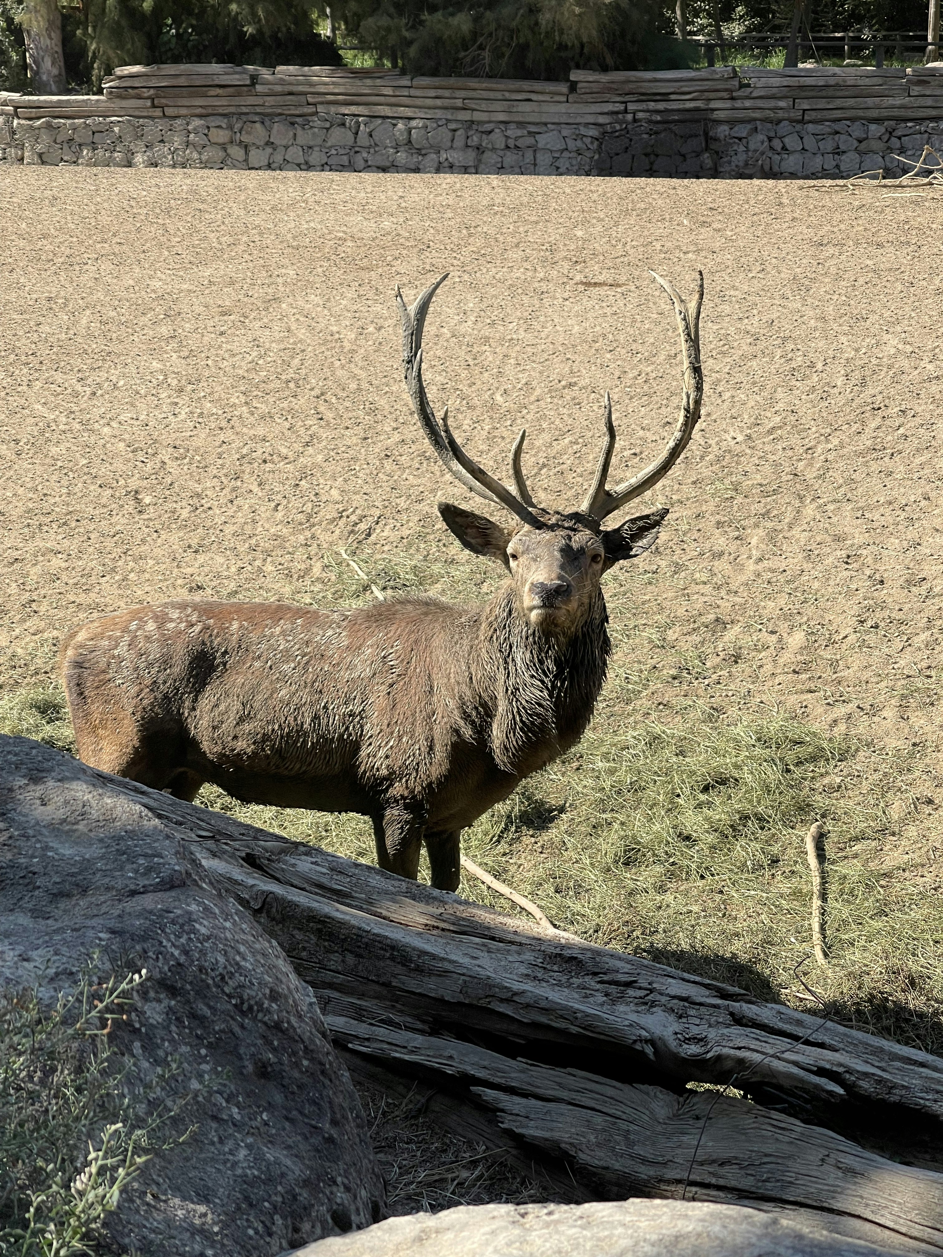 Photo by zeynepelifko