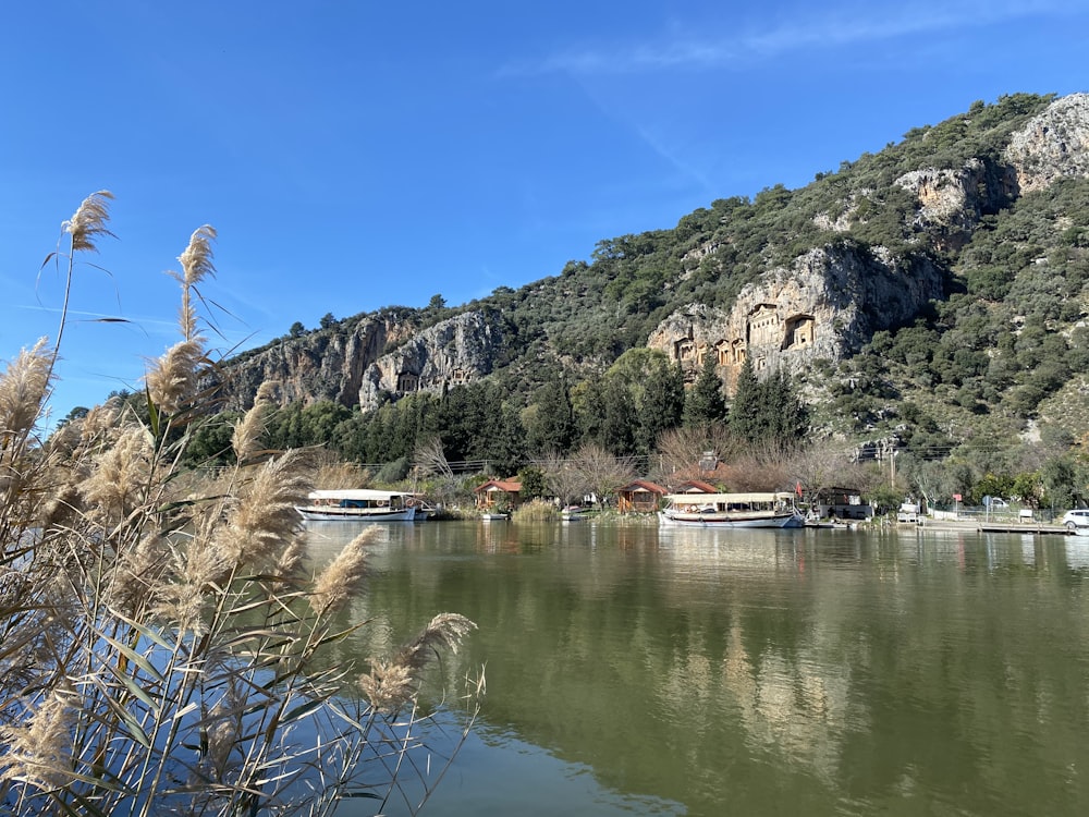 a body of water surrounded by mountains and trees