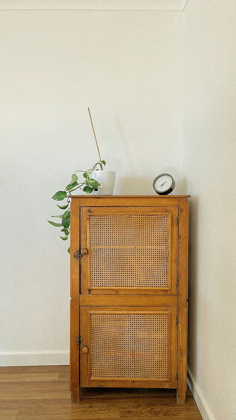 a wooden cabinet with a plant on top of it