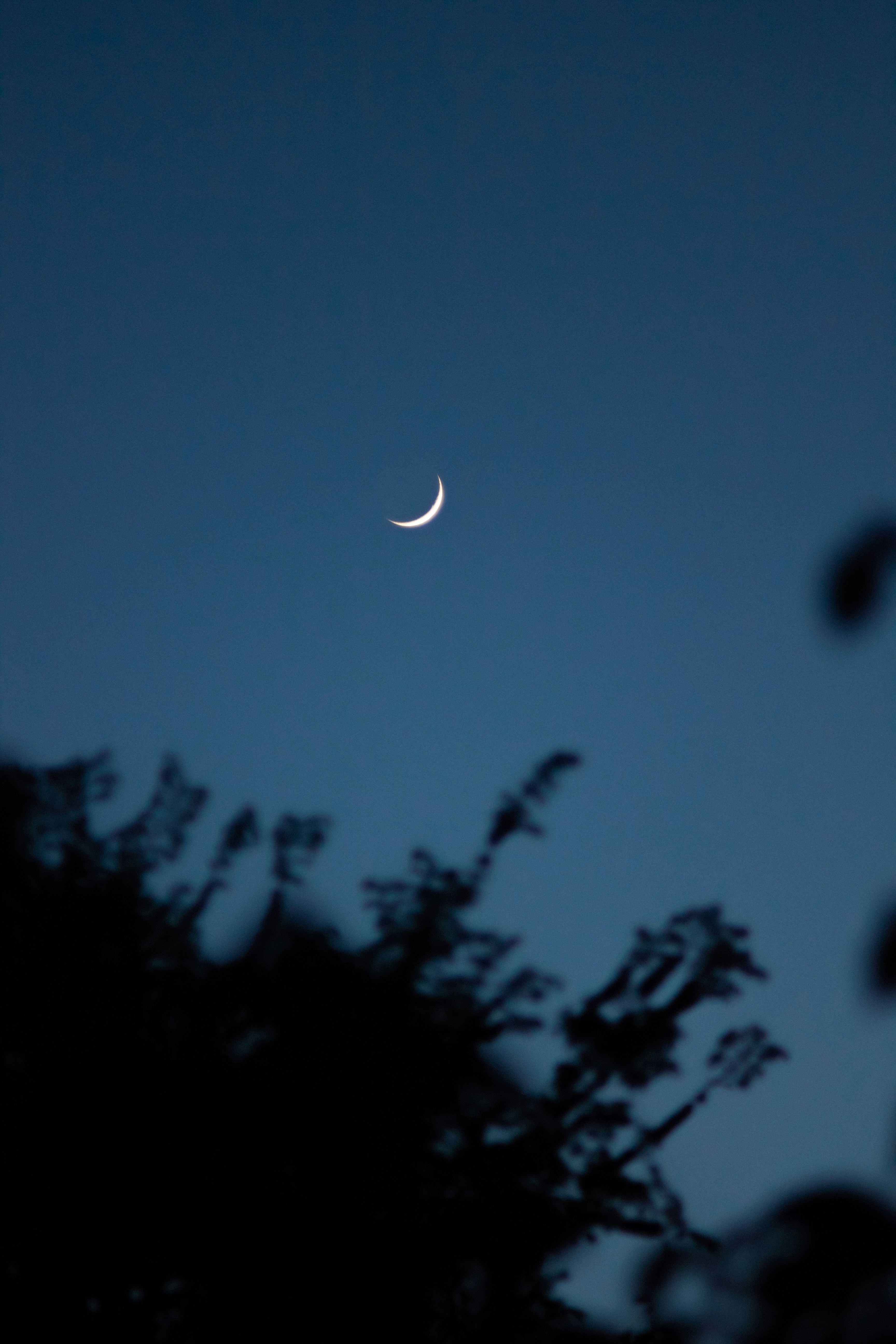 Photo by itsmaxpictures