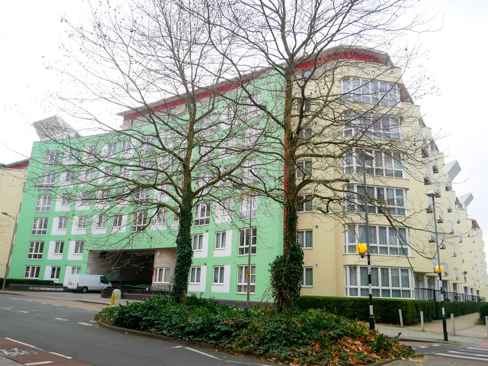 a green building with two trees in front of it