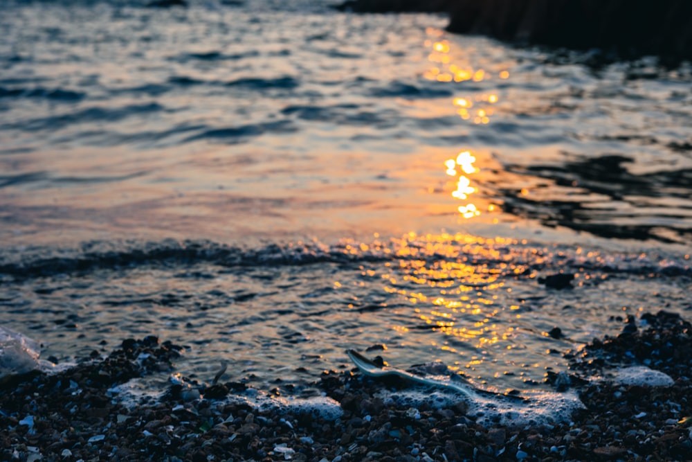 the sun is setting over the water at the beach