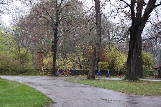 A group of children, dressed in colorful clothing, runs along a path in a park. The park is surrounded by tall trees that have lost most of their leaves, indicating a late autumn or early winter setting. The ground is wet, suggesting recent rain. The children's movement adds a lively contrast to the otherwise calm and overcast environment.