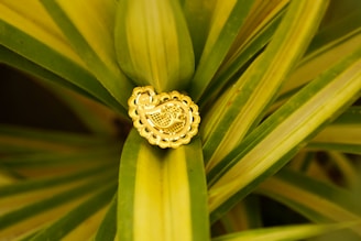 a close up of a plant with a heart on it