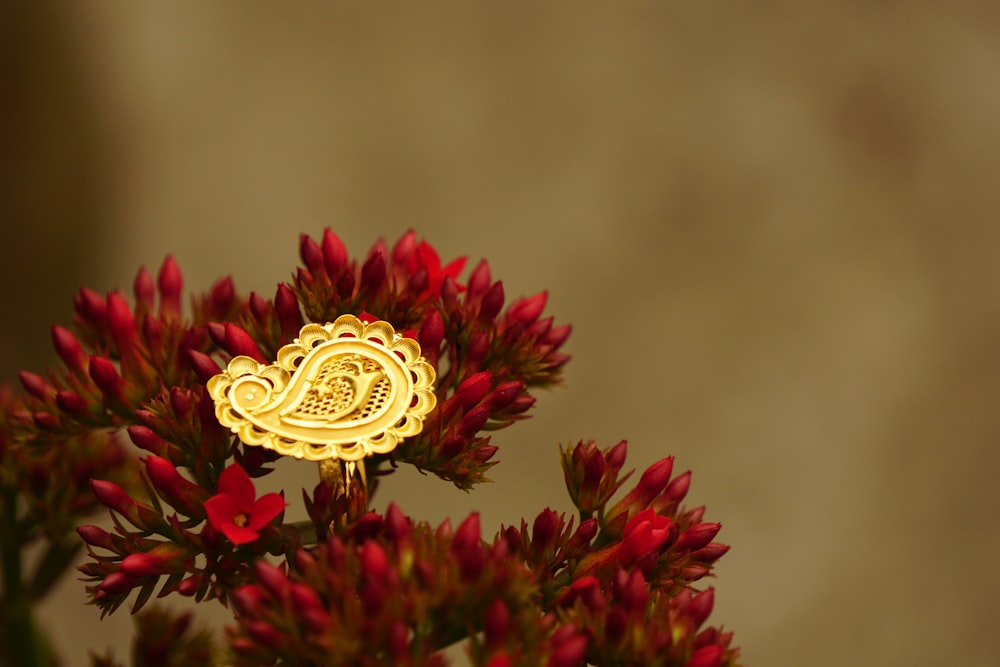 eine gelbe Brosche, die auf einer roten Blume sitzt