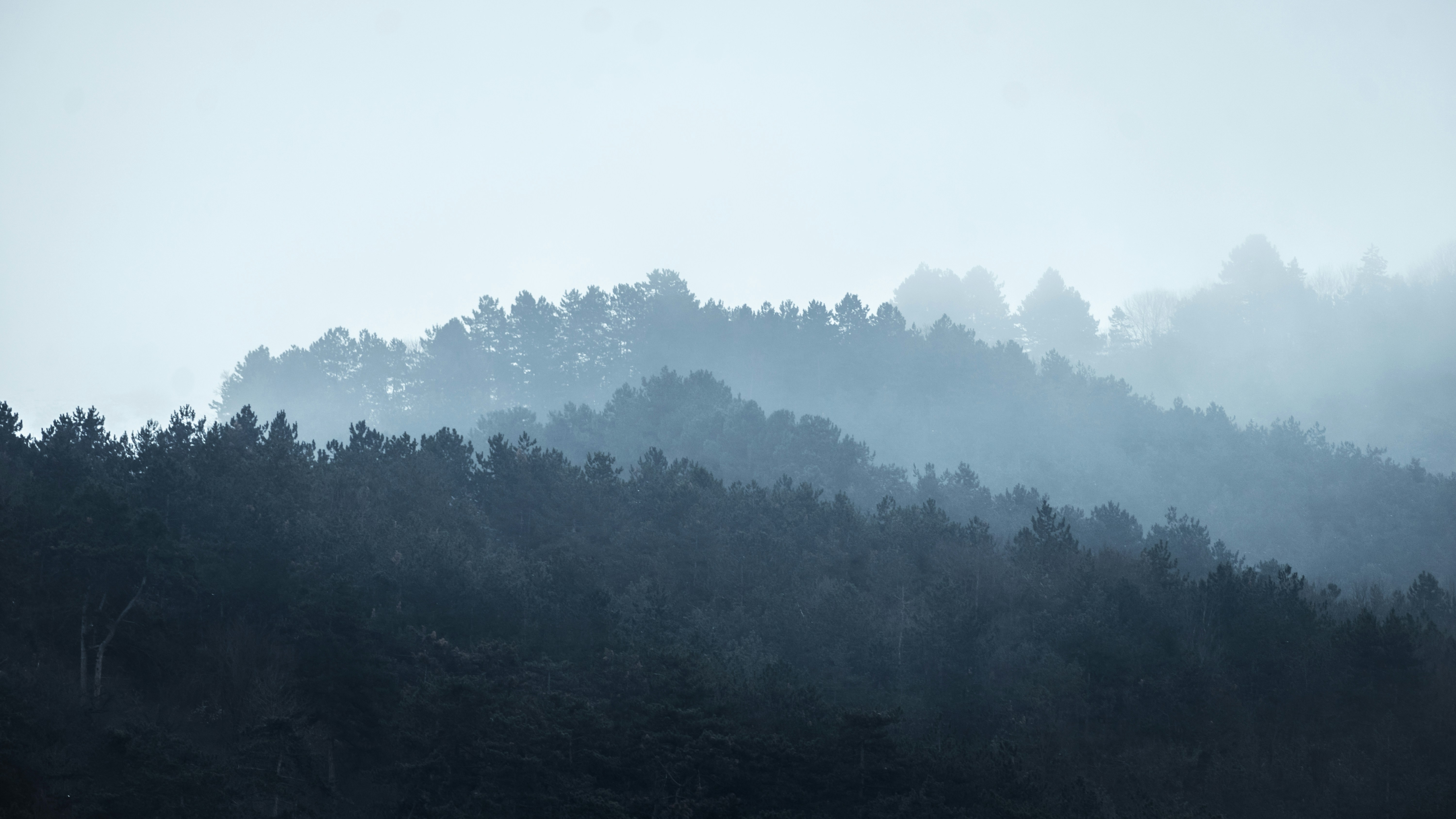 Photo by dtphotography