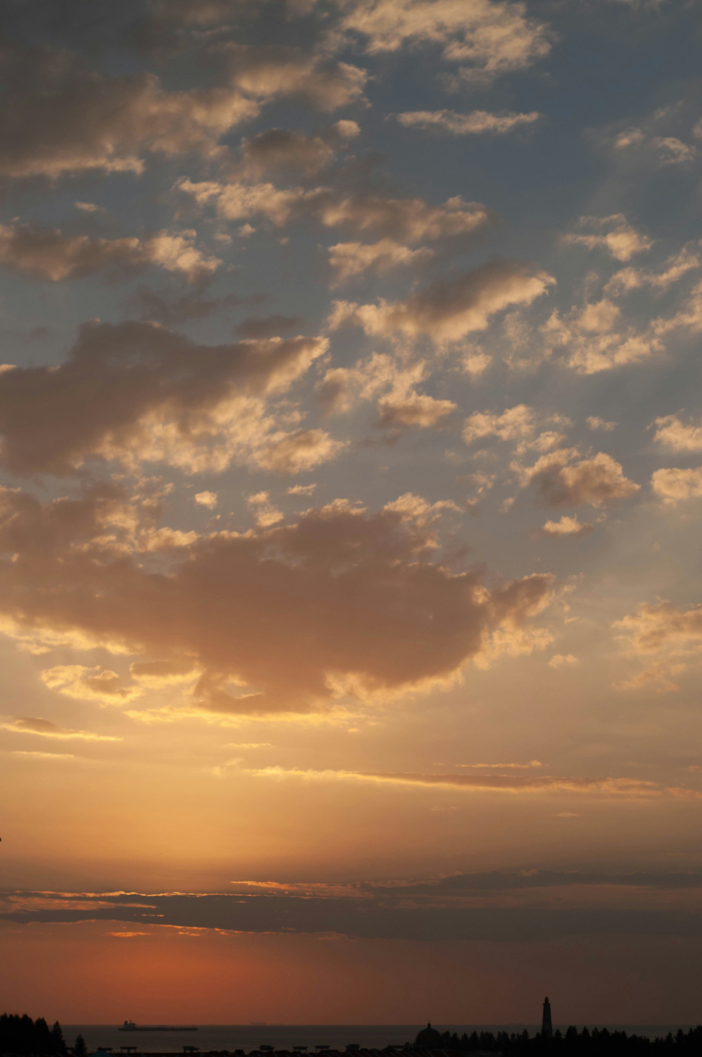 Photo by joshualohyj1