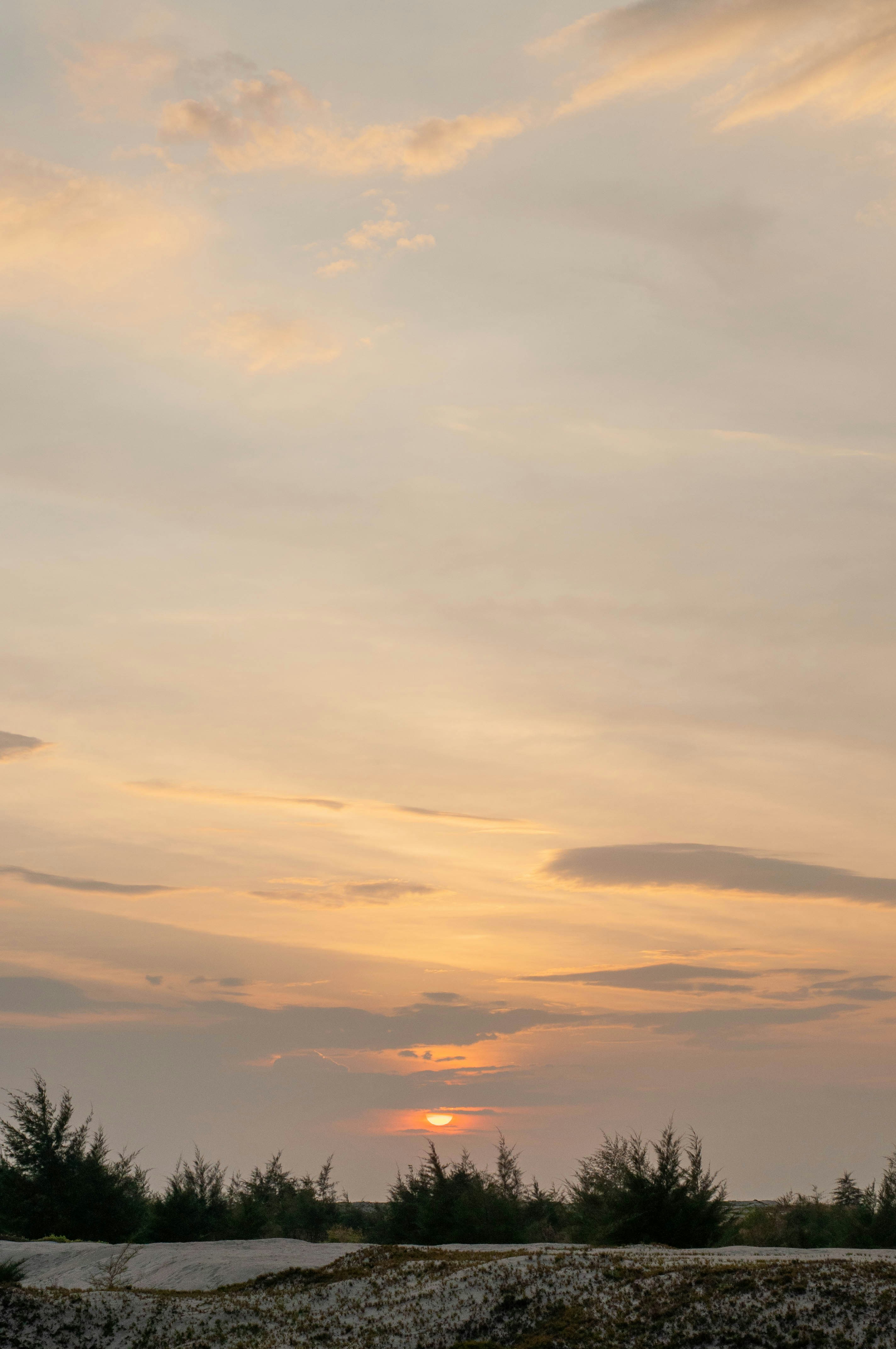 a plane flying in the sky at sunset