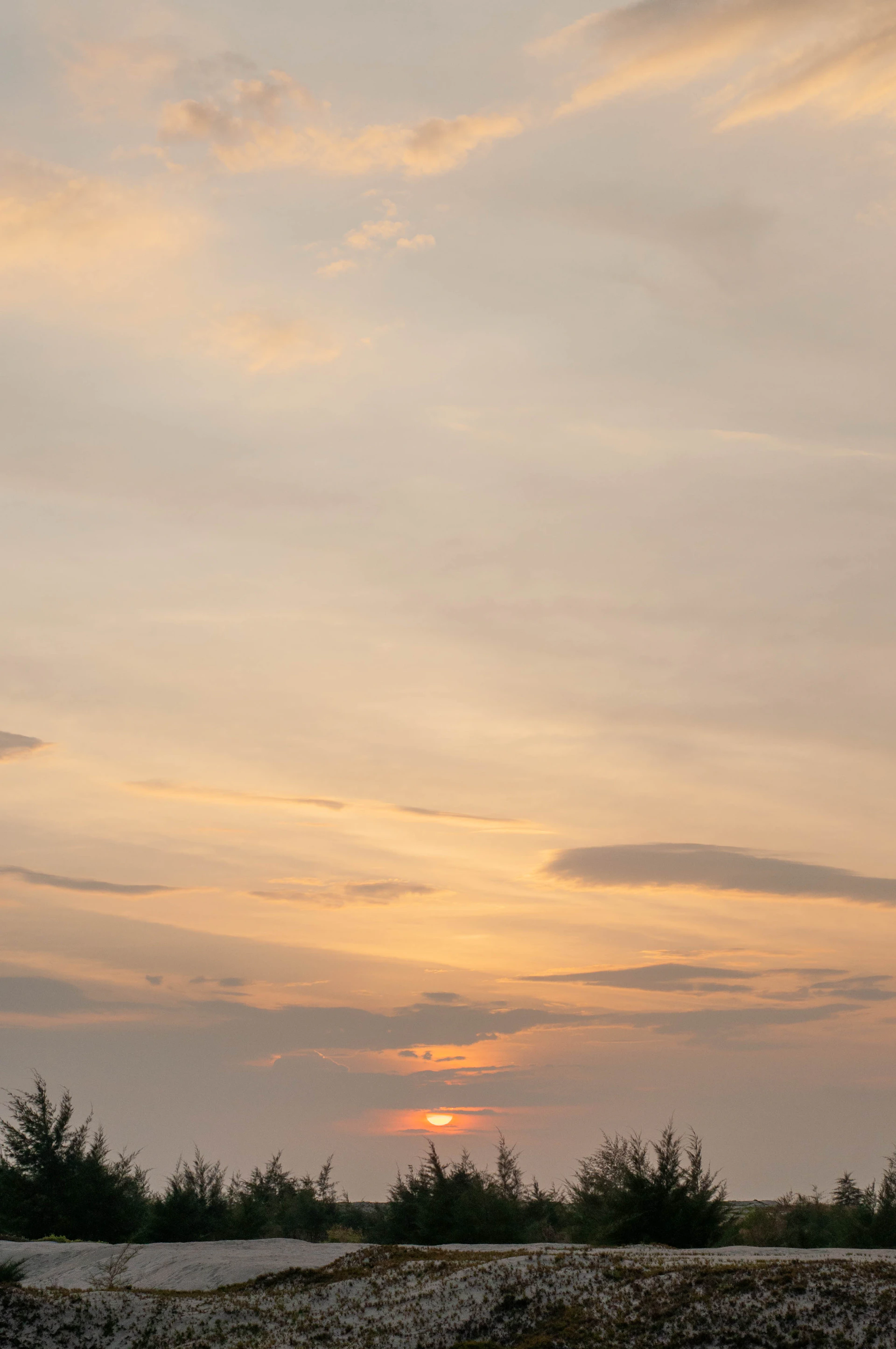 a plane flying in the sky at sunset