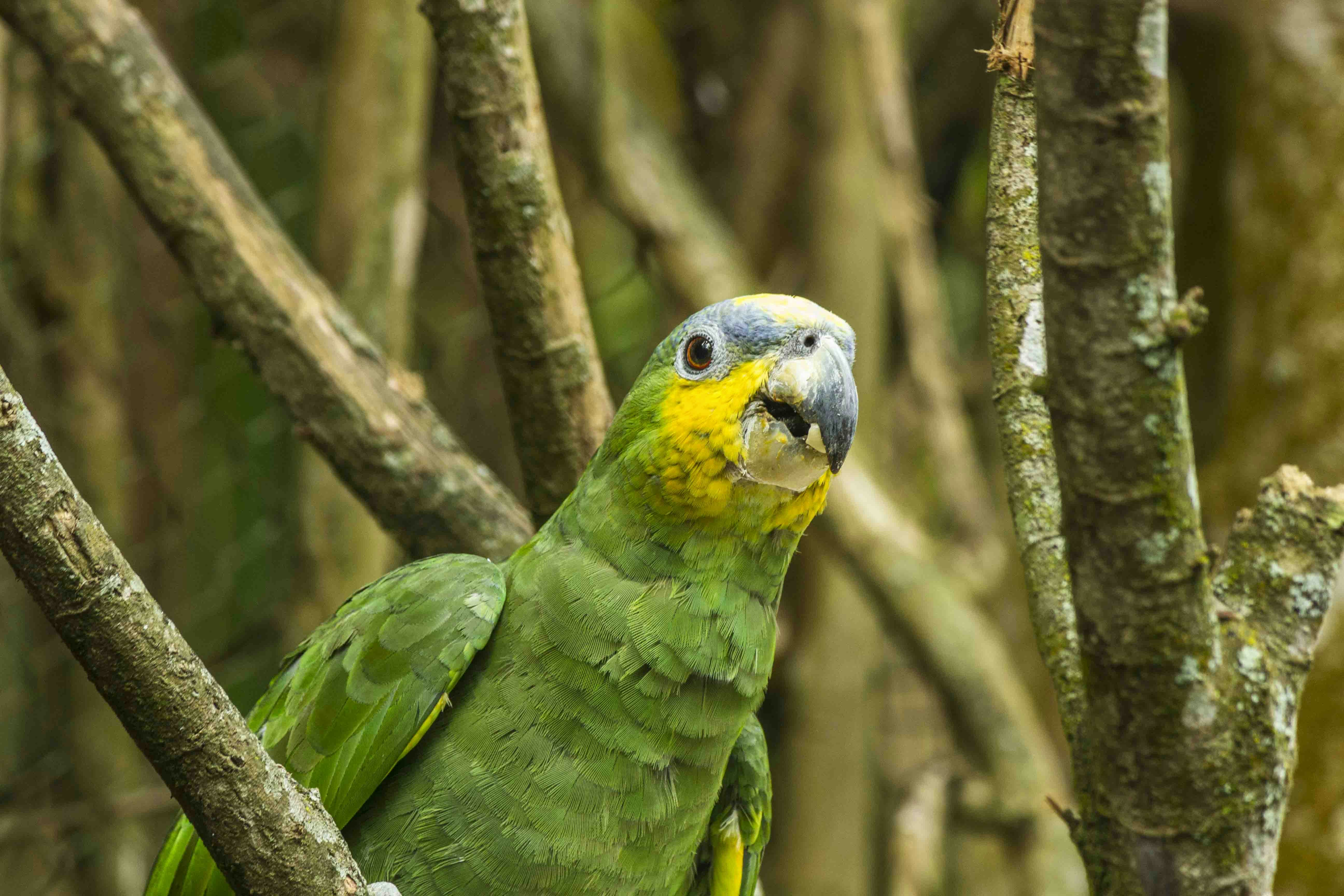 Photo by santiagoospina