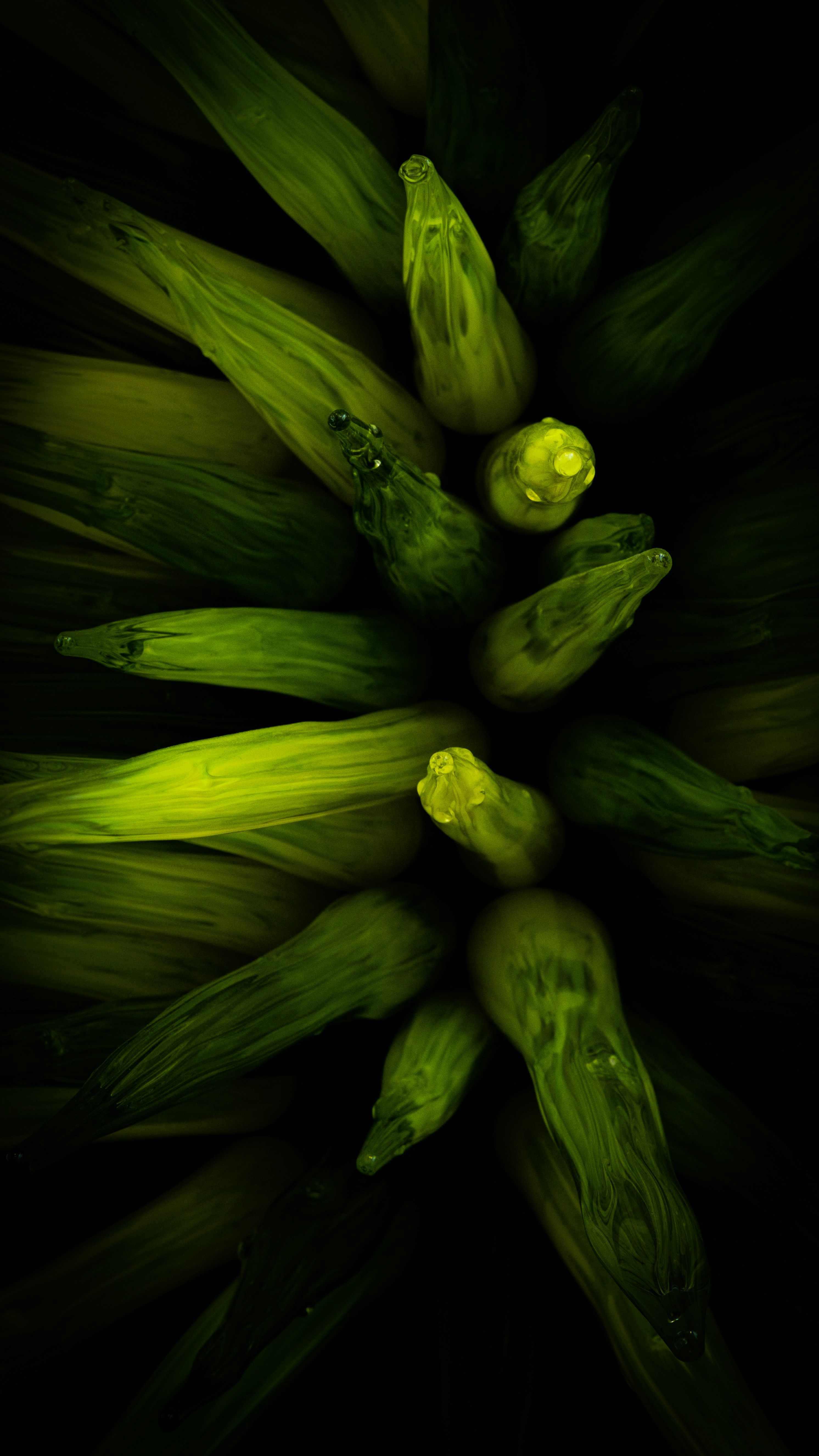 abstract phone wallpaper, wallpaper, Infinix Hot 50: A Detailed Look at Android Versions 5