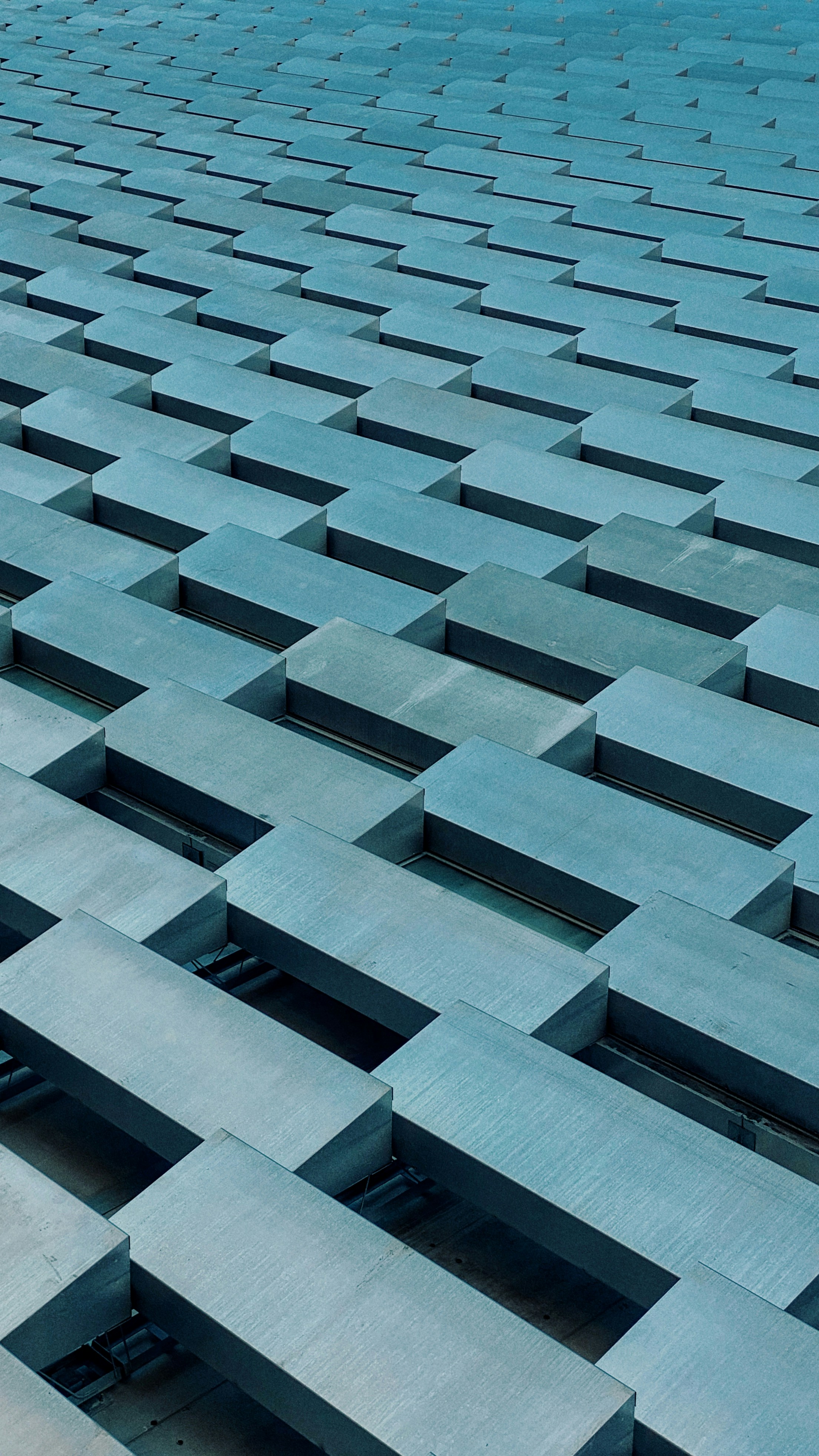 Photo by lebedevasasha