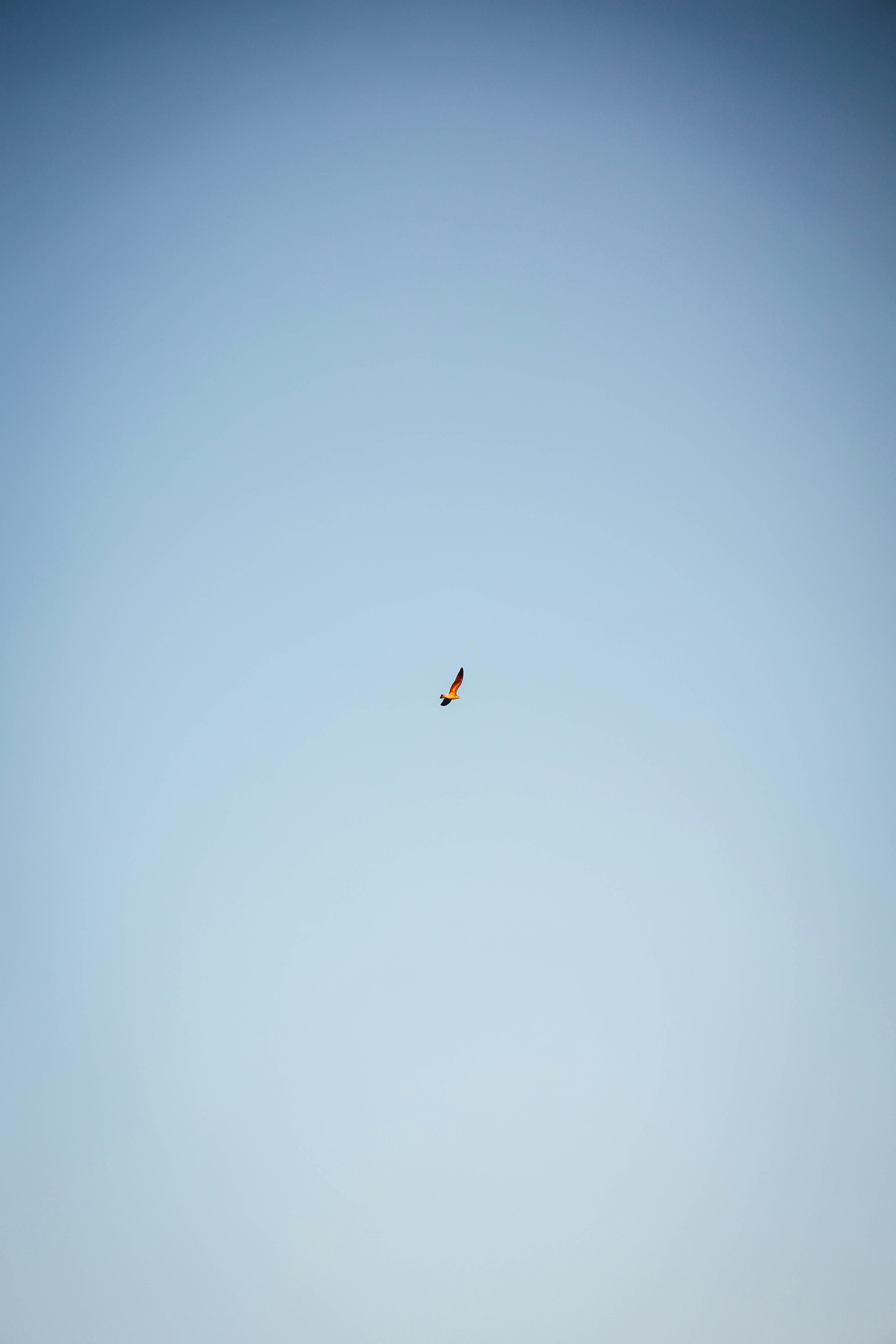 Photo by lentesymentes