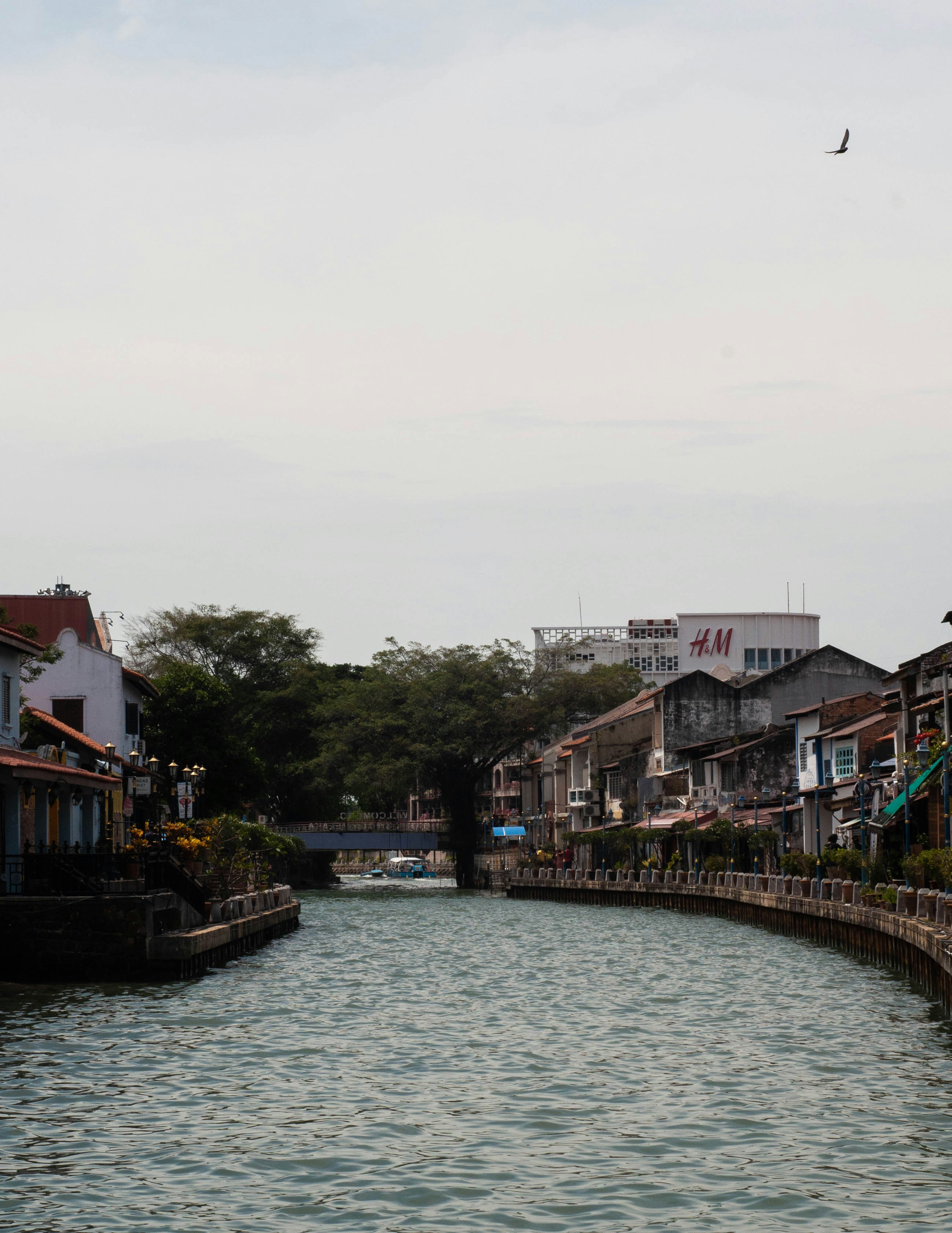 Photo by joshualohyj1