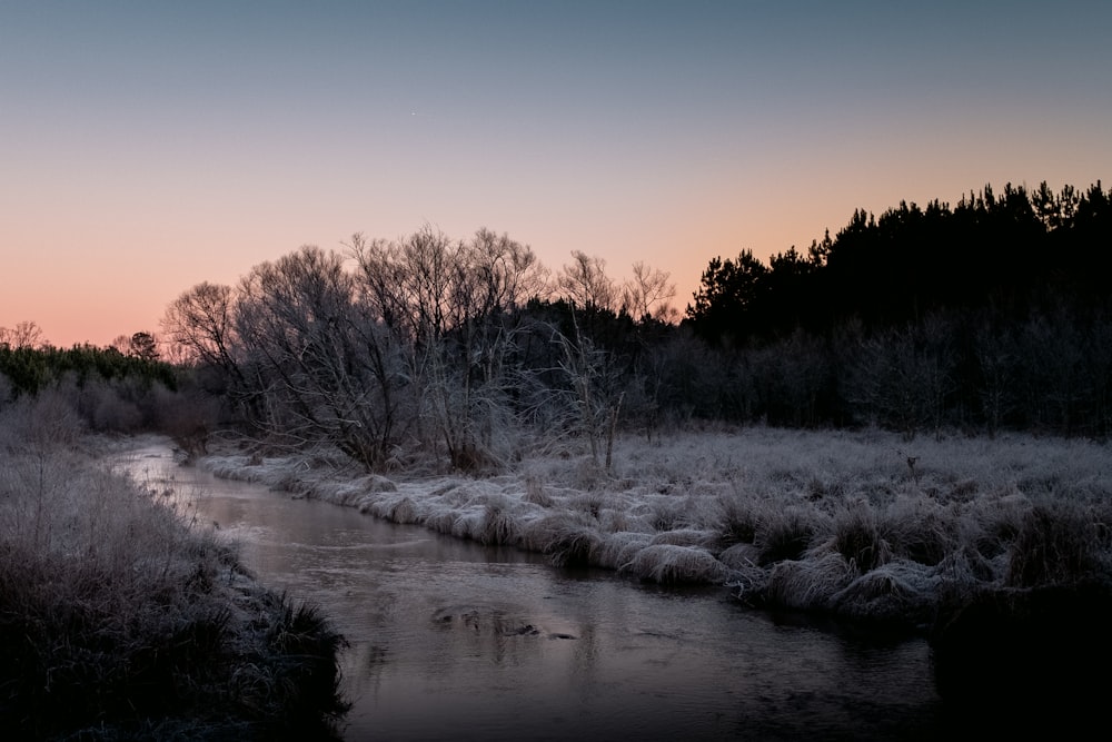 a river running through a forest covered in snow