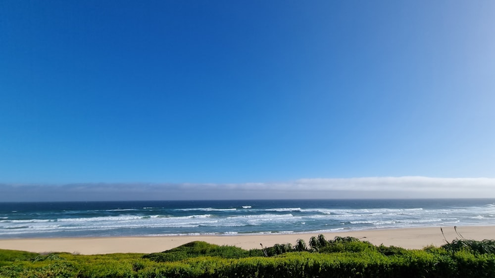 a view of the ocean from a beach