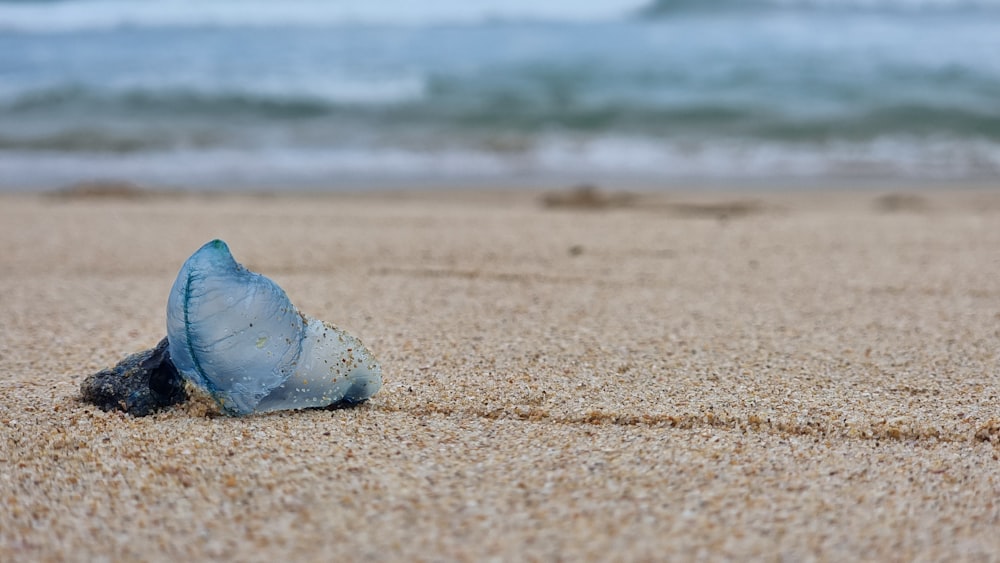 a blue bottle sitting on top of a sandy beach