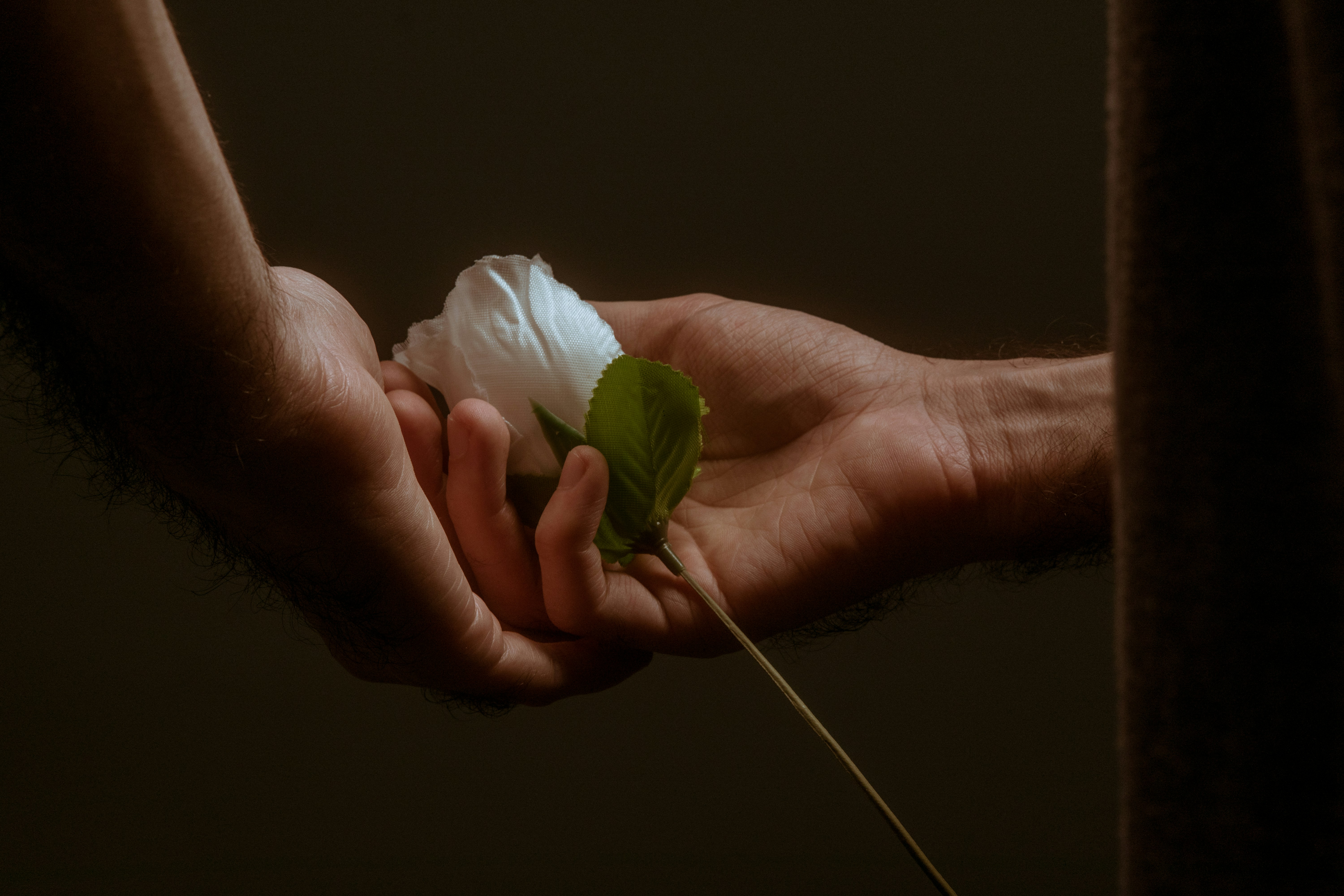 a person holding a flower in their hand