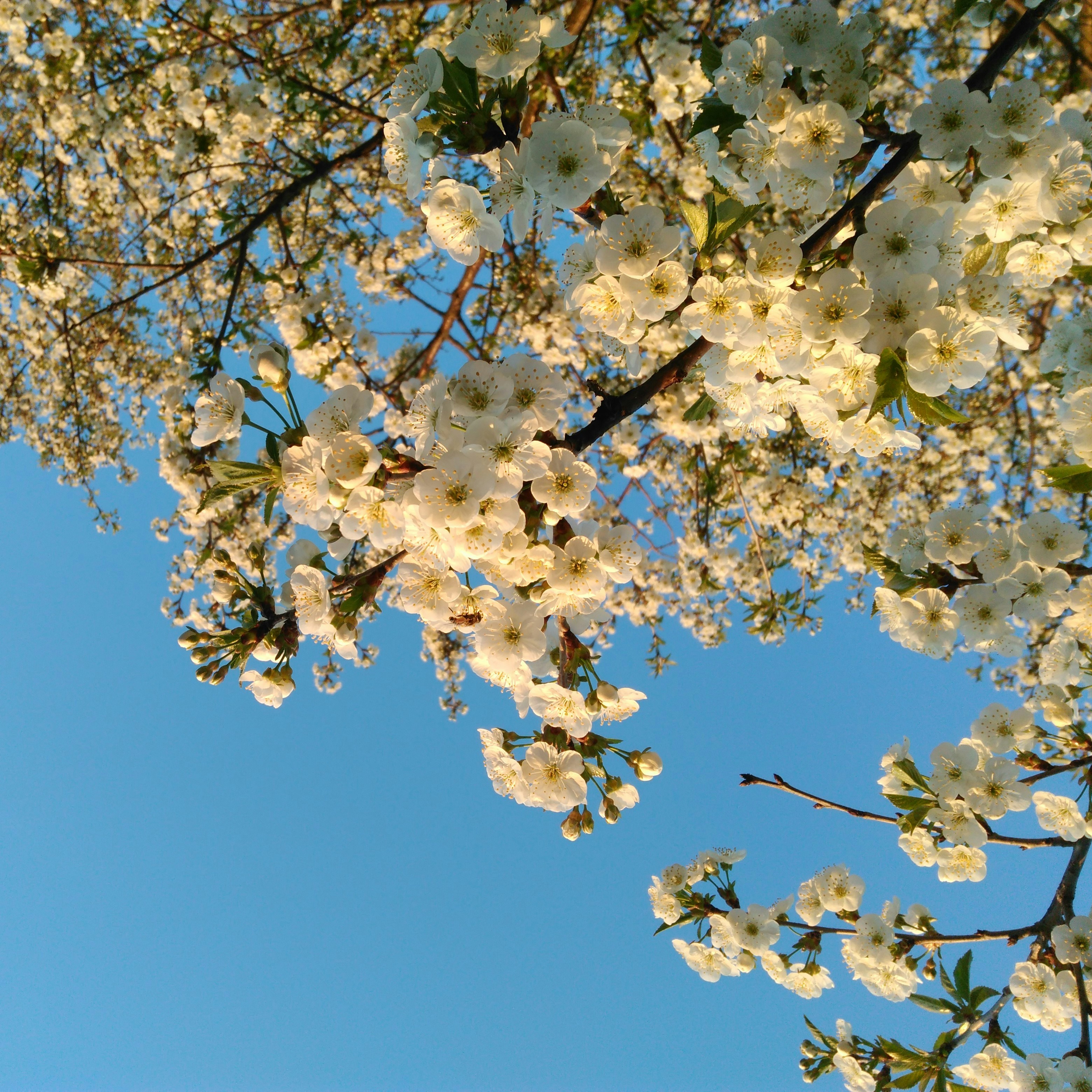 Photo by helen_zahrai