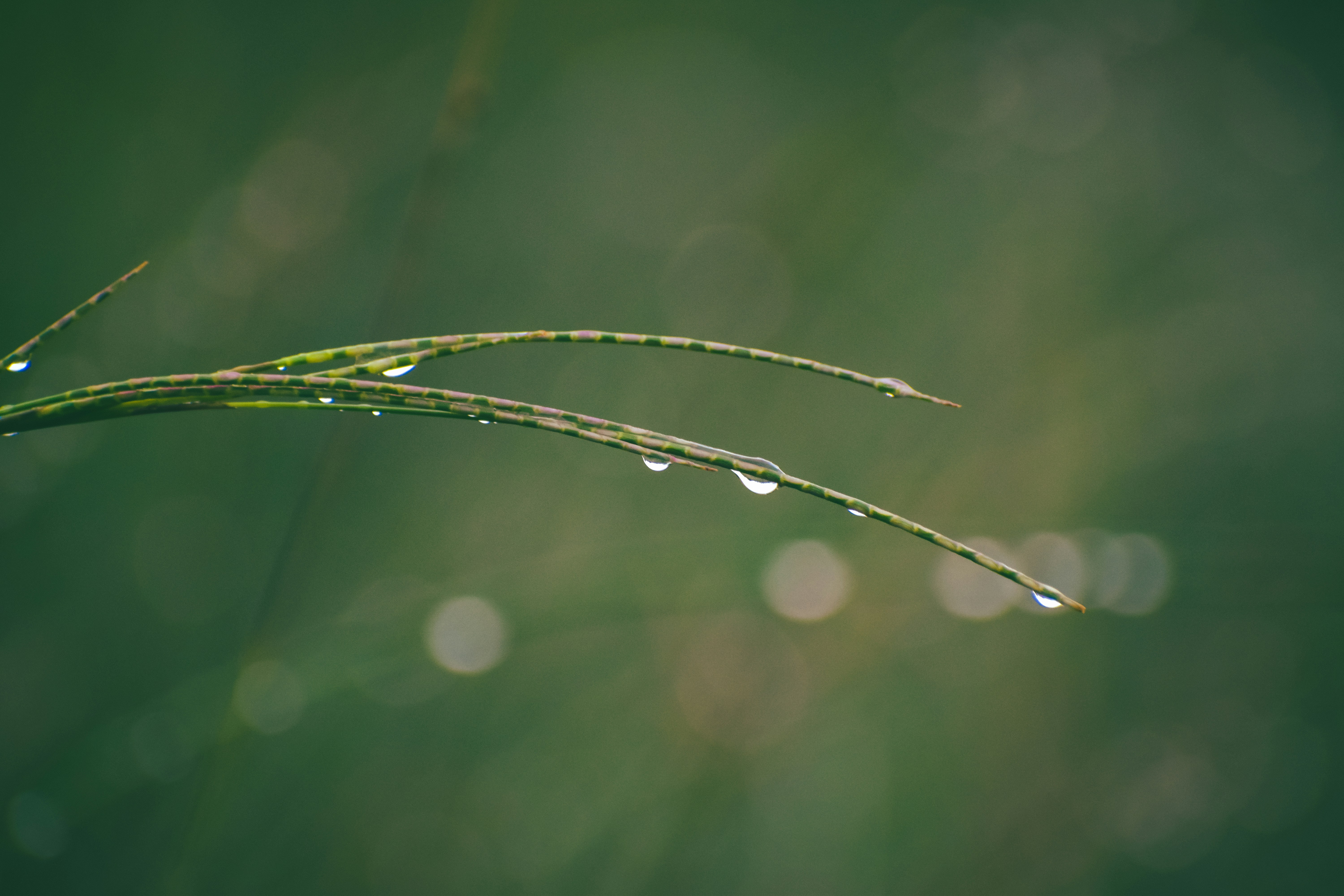 Photo by navi_photography