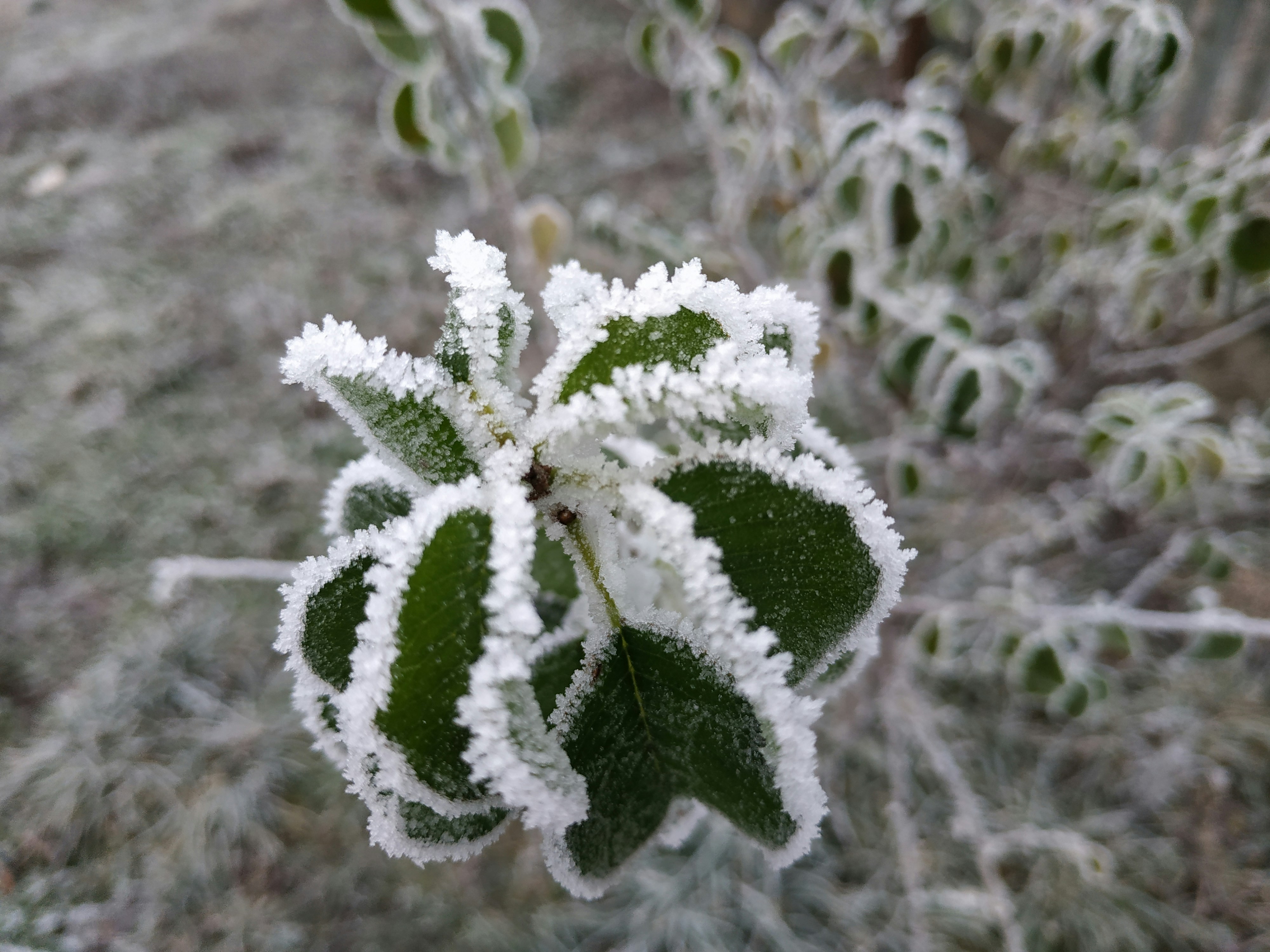 Photo by helen_zahrai