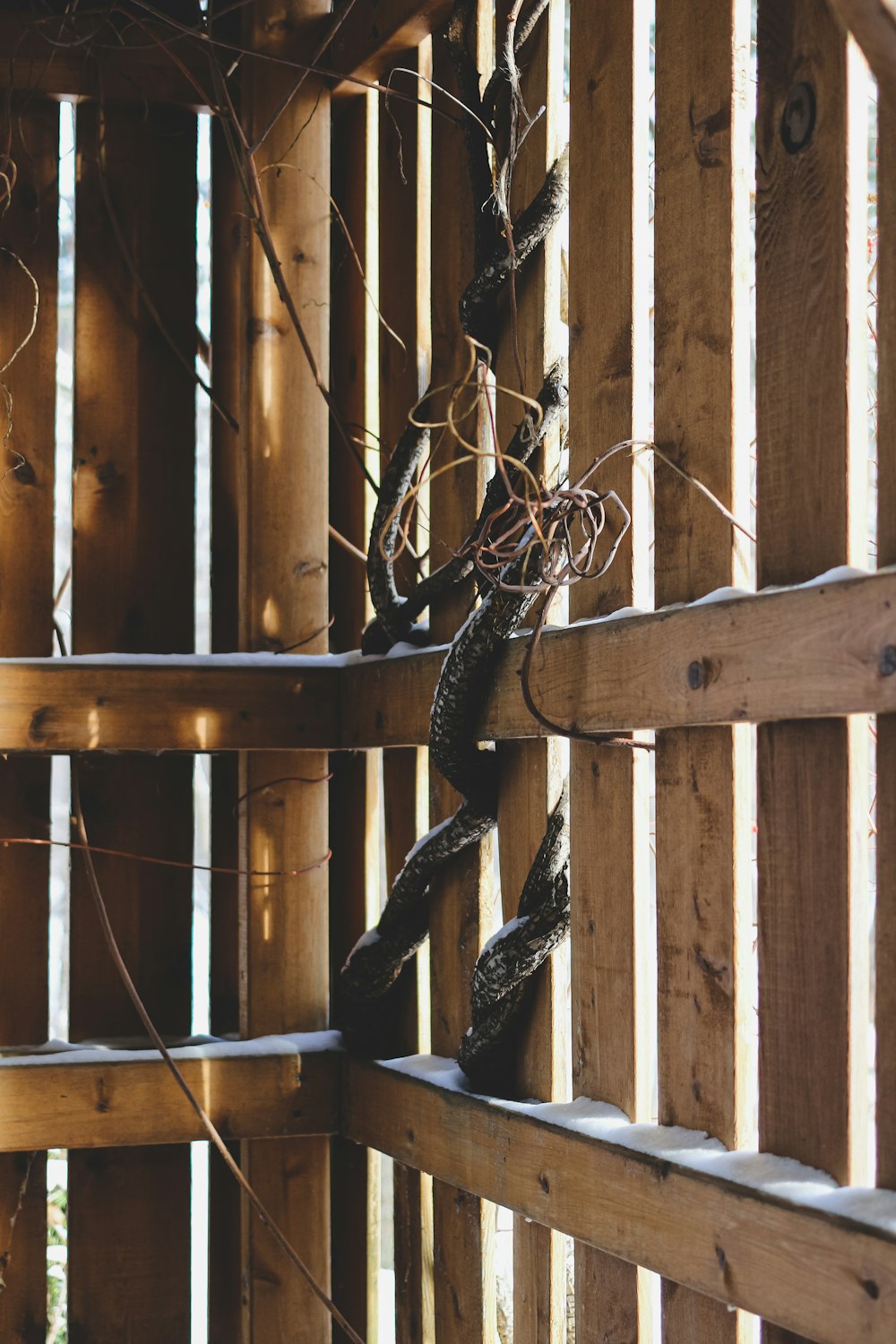 a close up of a wooden fence with vines growing on it