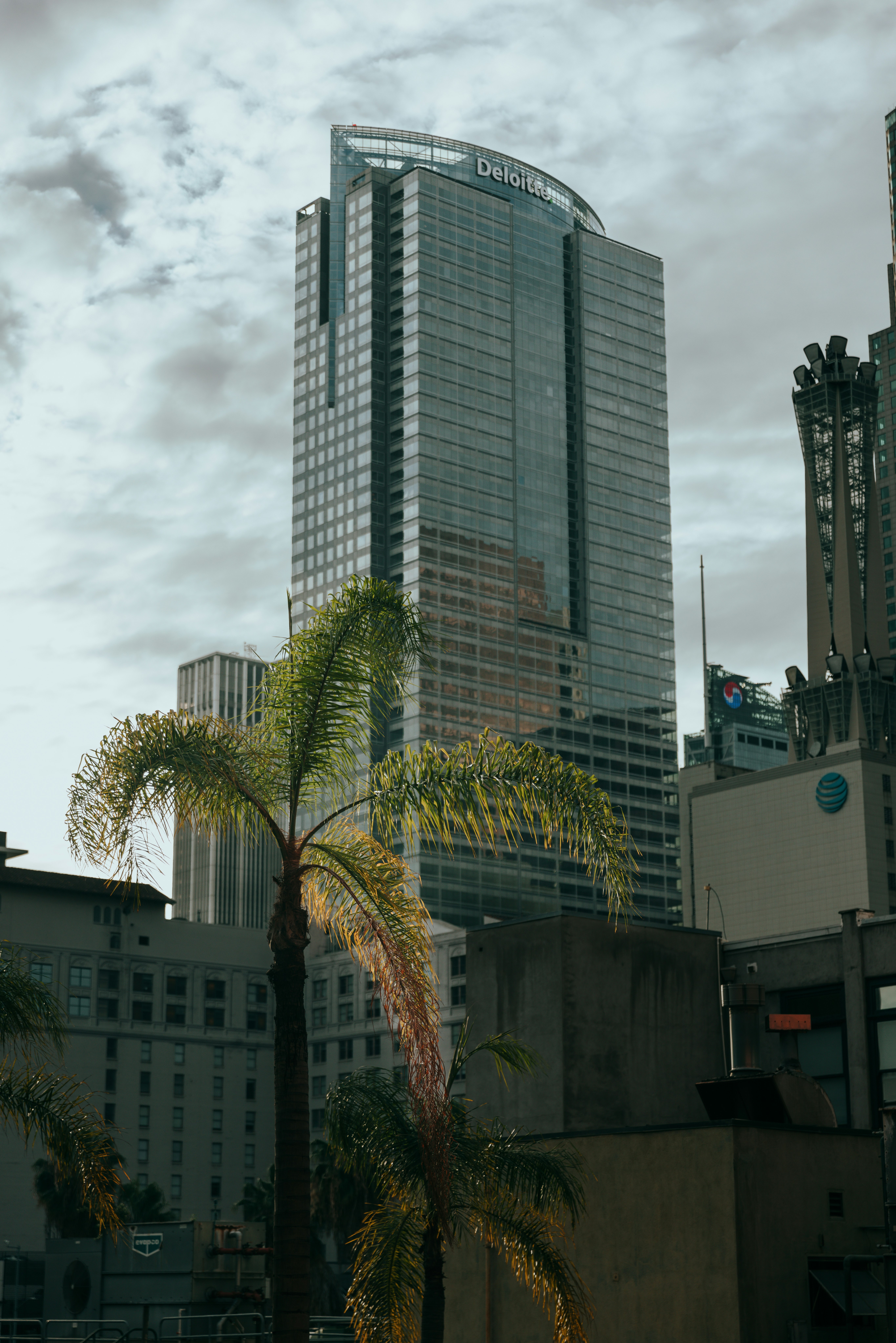 Photo by nate_dumlao