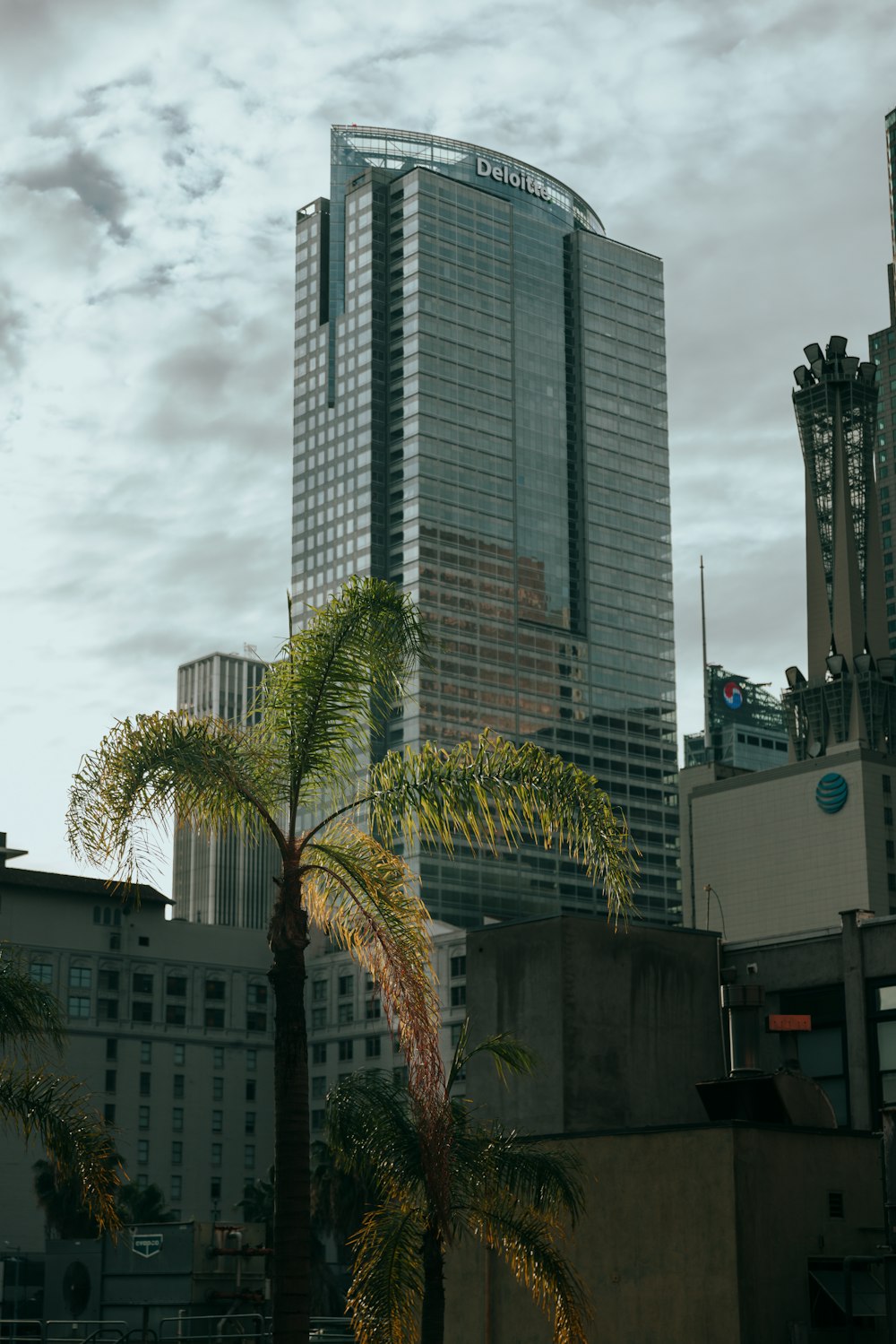 a tall building with a palm tree in front of it