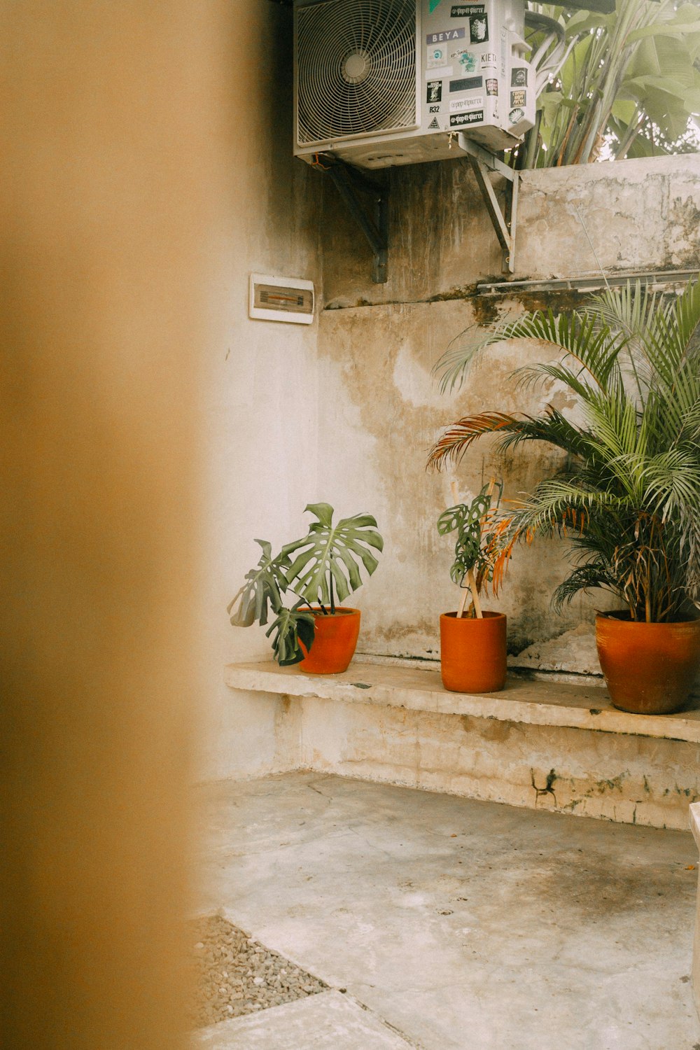 three potted plants are sitting on a ledge