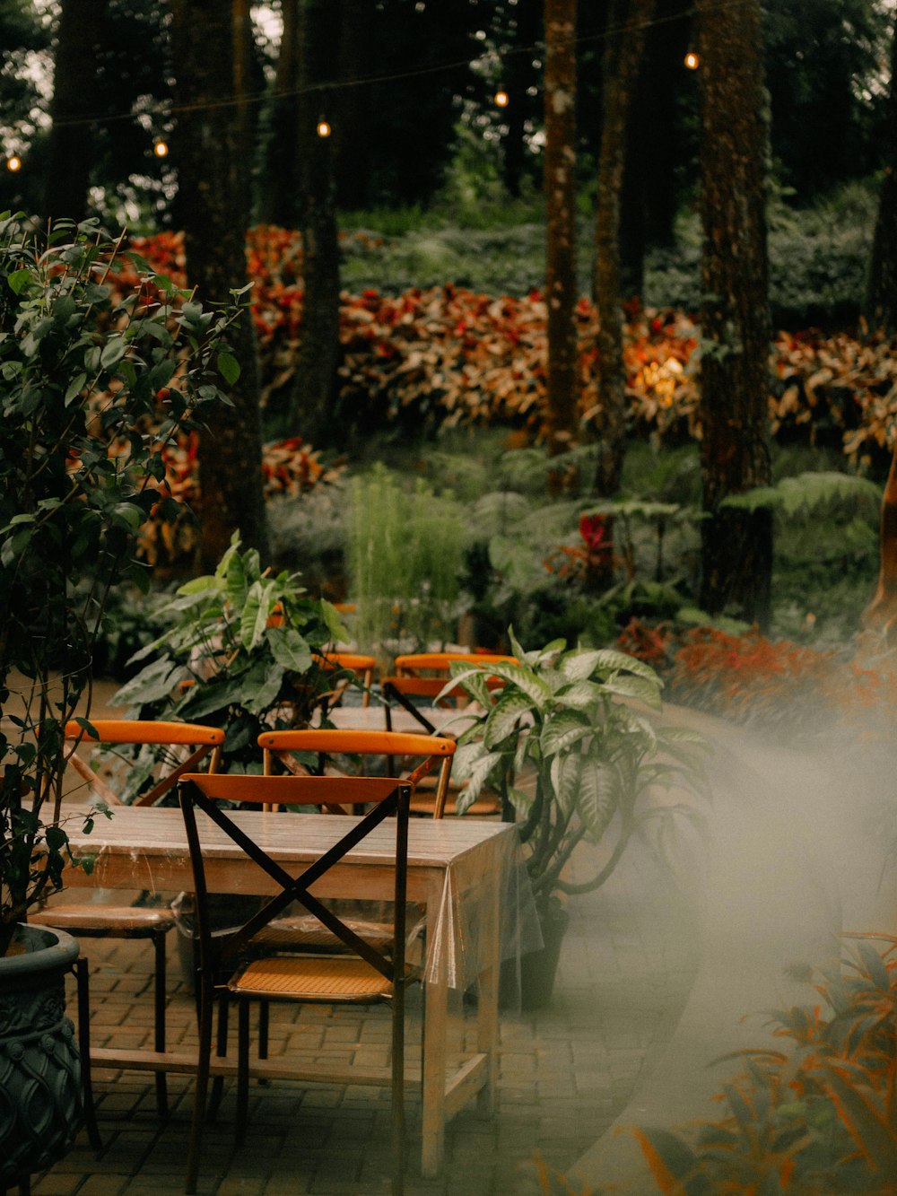 a wooden table surrounded by potted plants