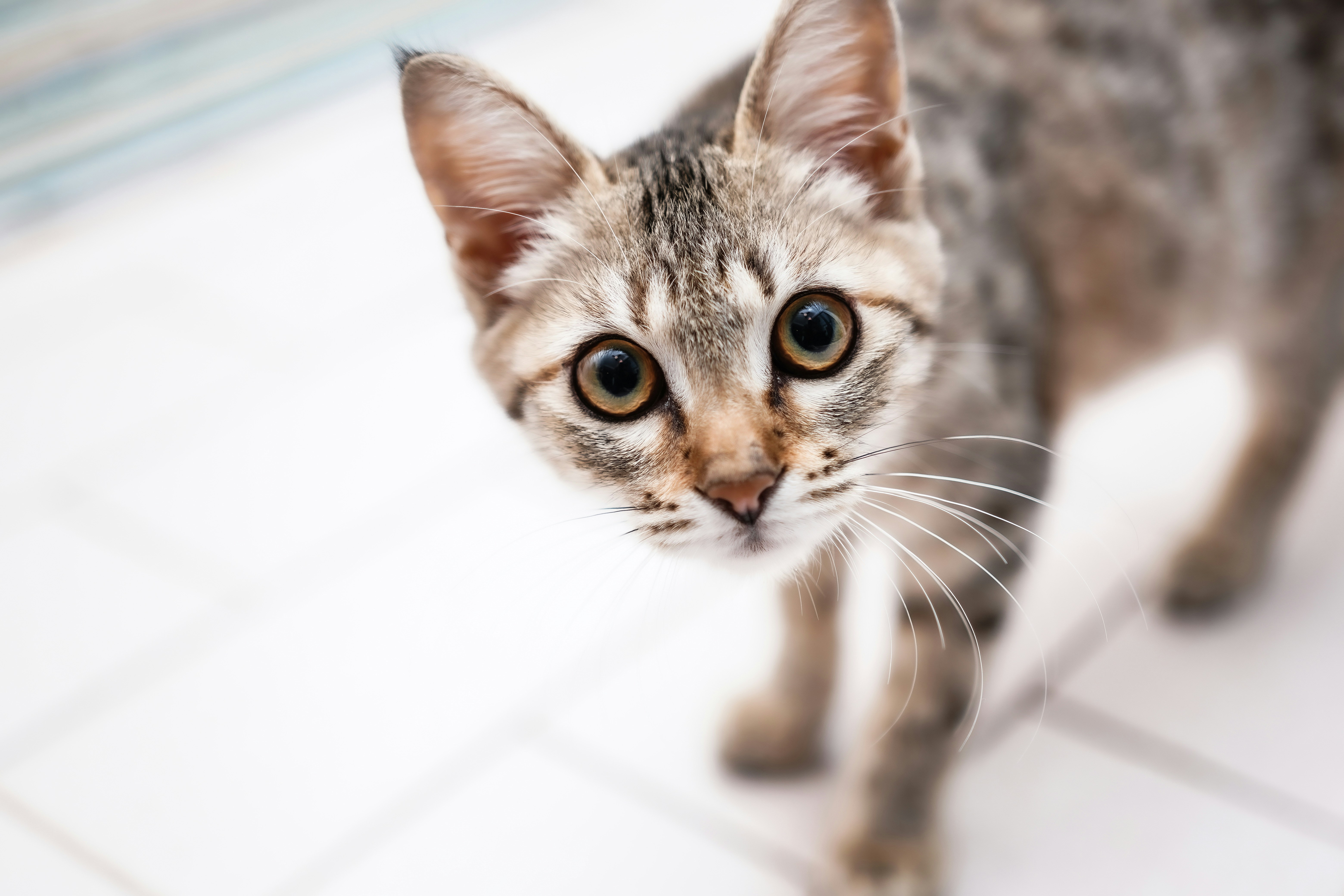 Photo by henrylaiphotography