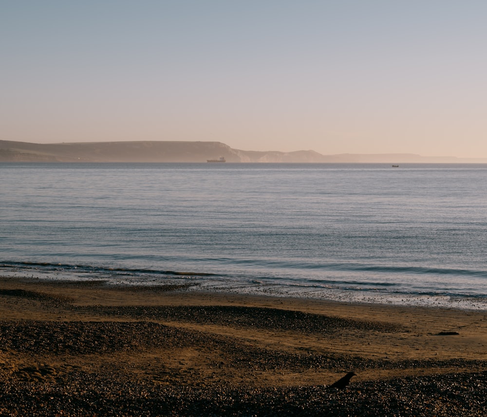 a person walking on a beach near the ocean